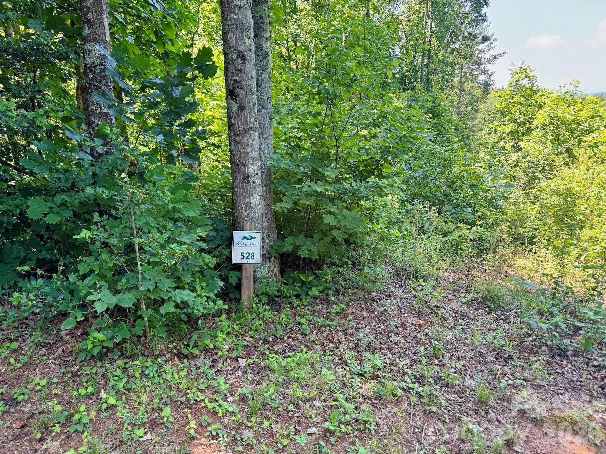 Lot at Lenoir, photo 2 of 37