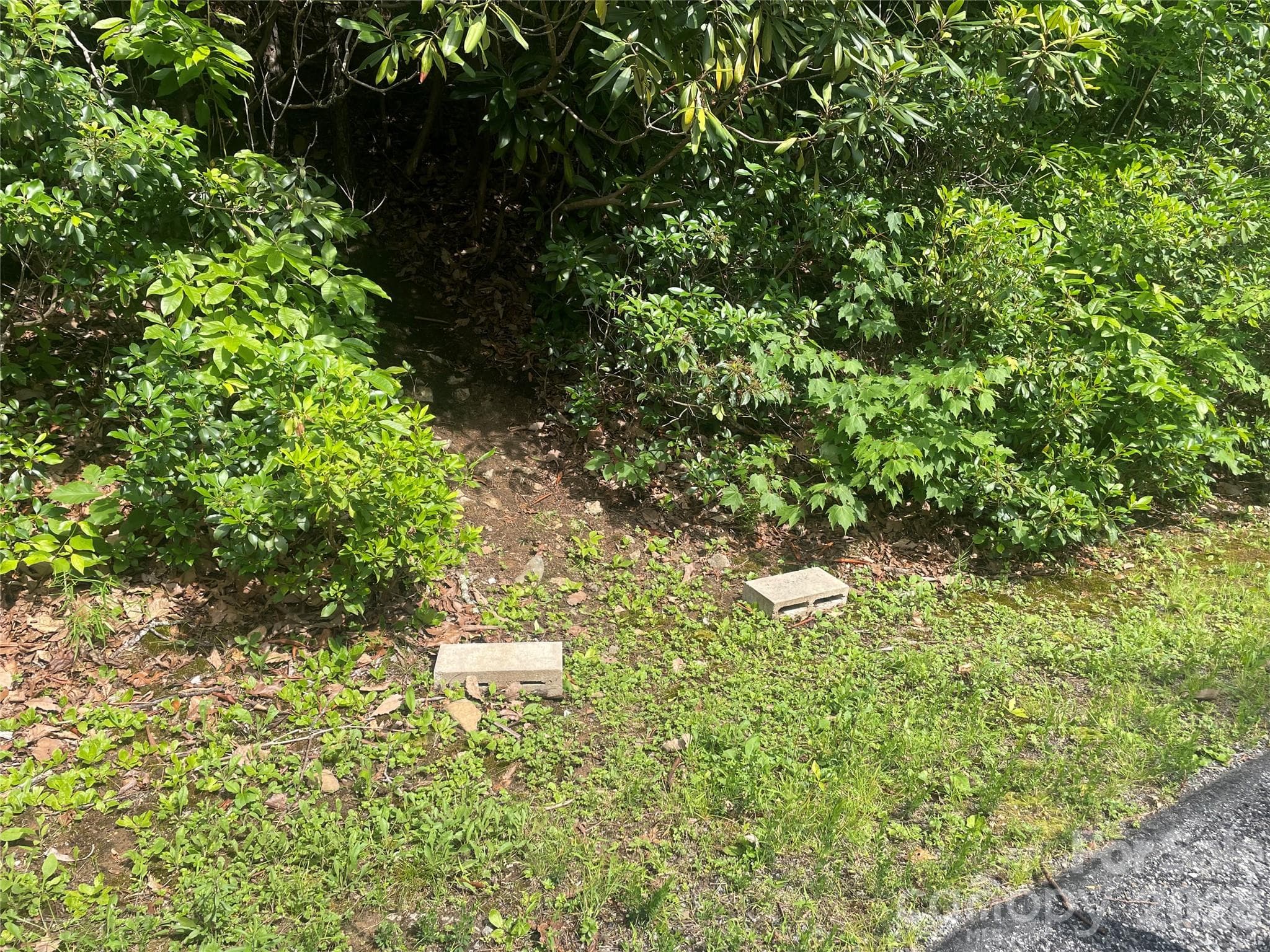 Blocks for the Entrance to the Trail - 99999 Red Oak Forest Road, Fairview