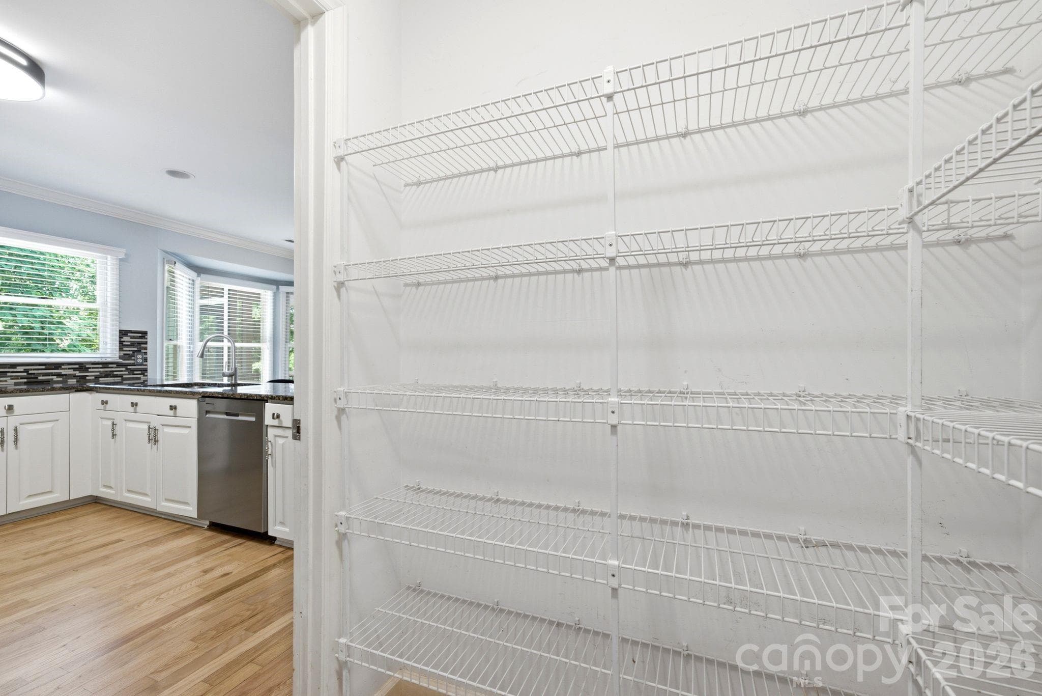 Walk in pantry - 503 Wyre Forest Court, Charlotte