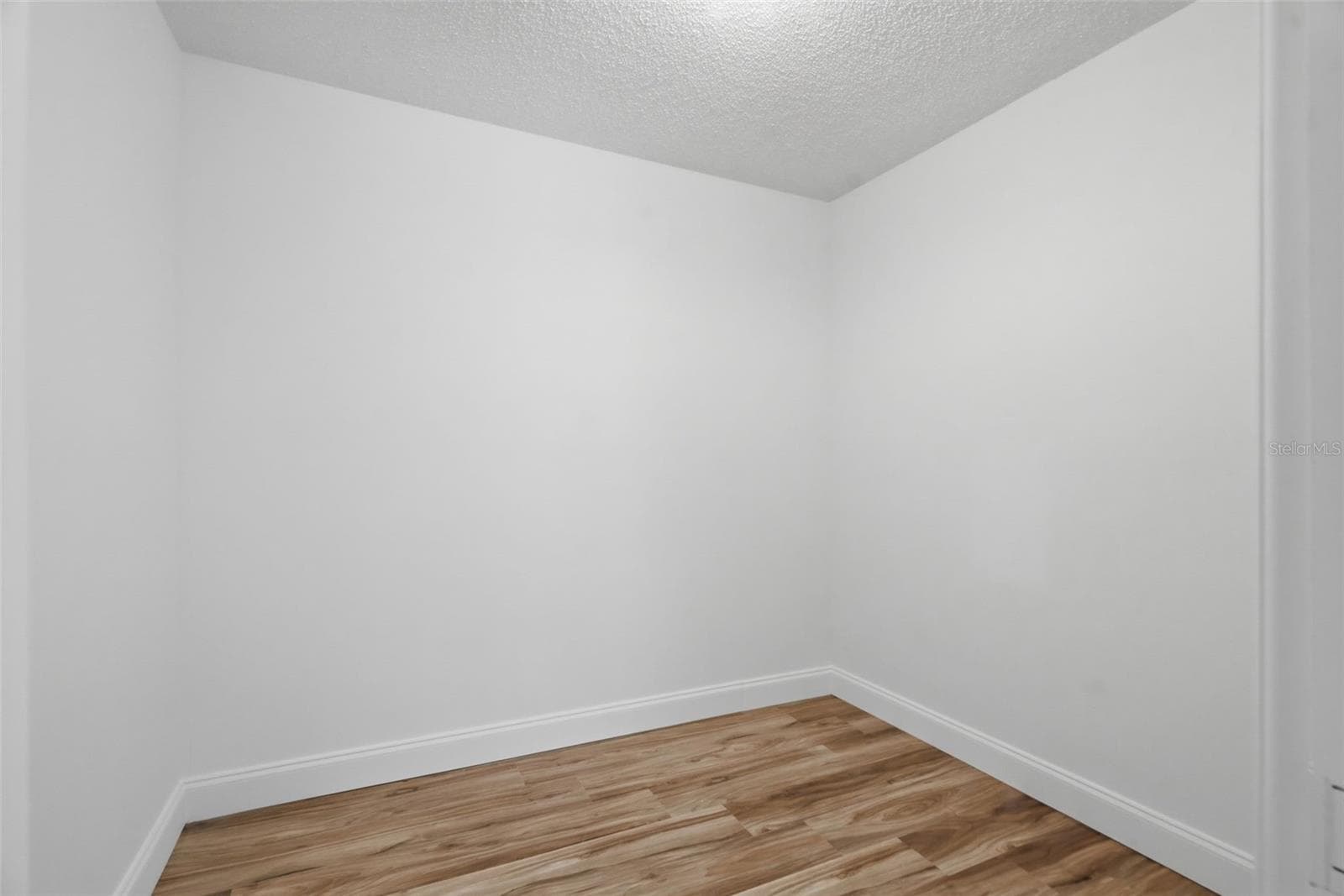 Primary Bedroom Closet - 104 NESTLEBRANCH DR, SAFETY HARBOR