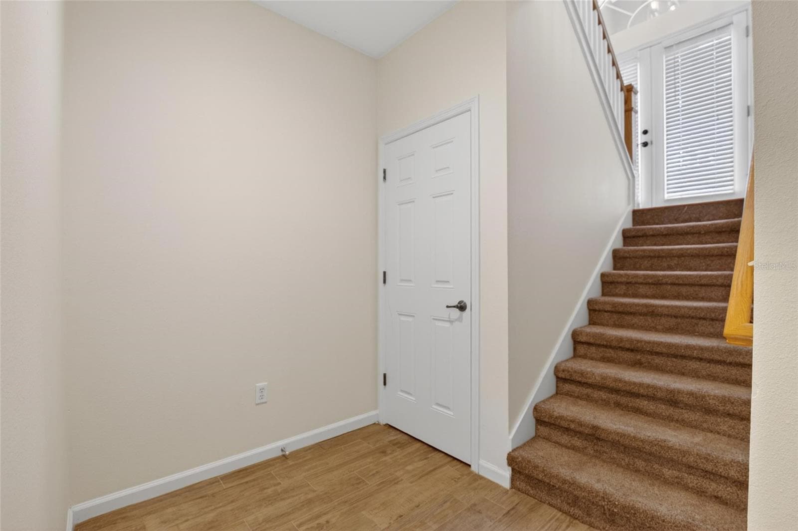 Downstairs storage closet. - 307 SUMMER CLOUDS PL, BRANDON