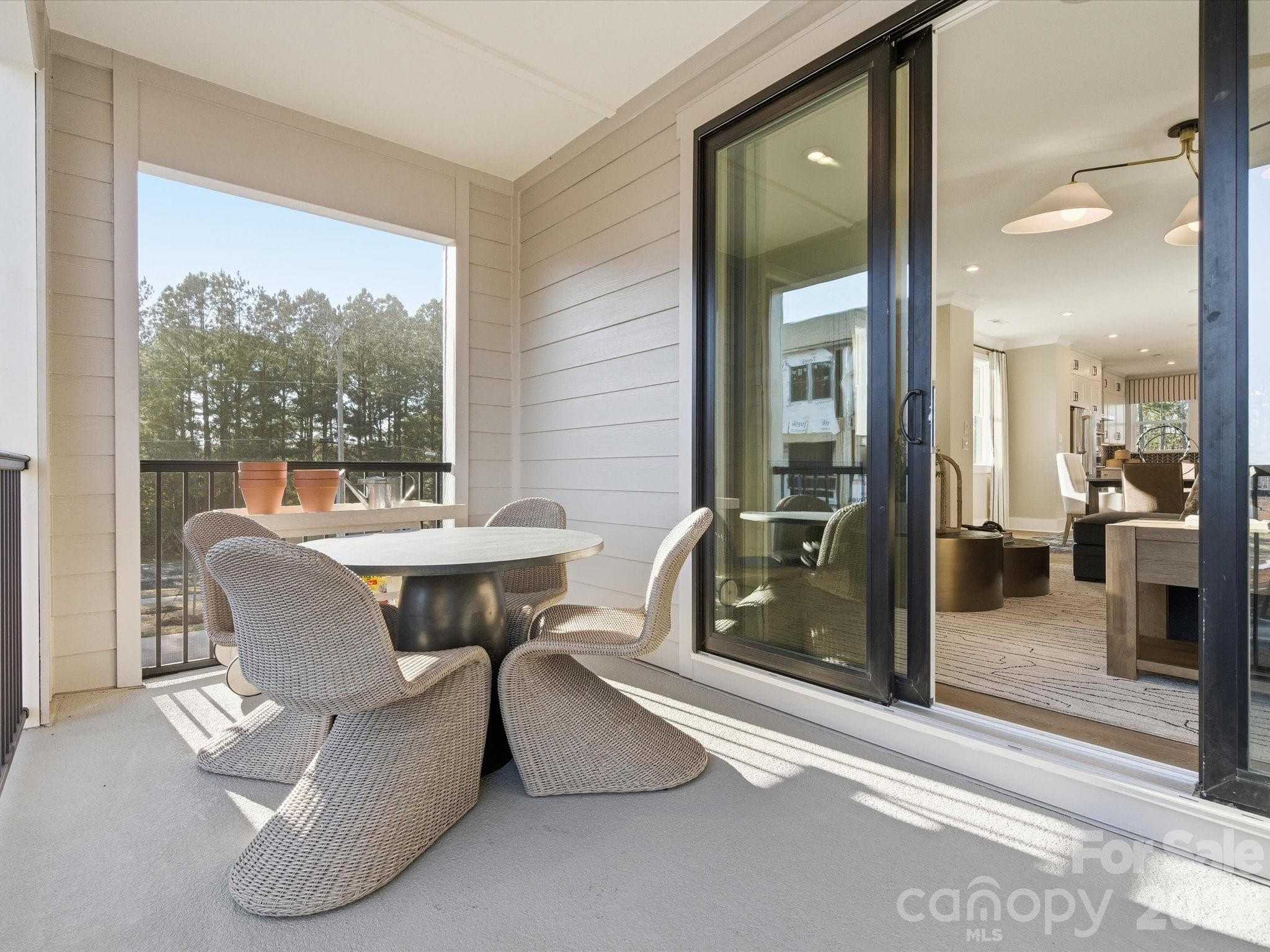 Conceptual - 10321 Princess Crossing Drive, Charlotte