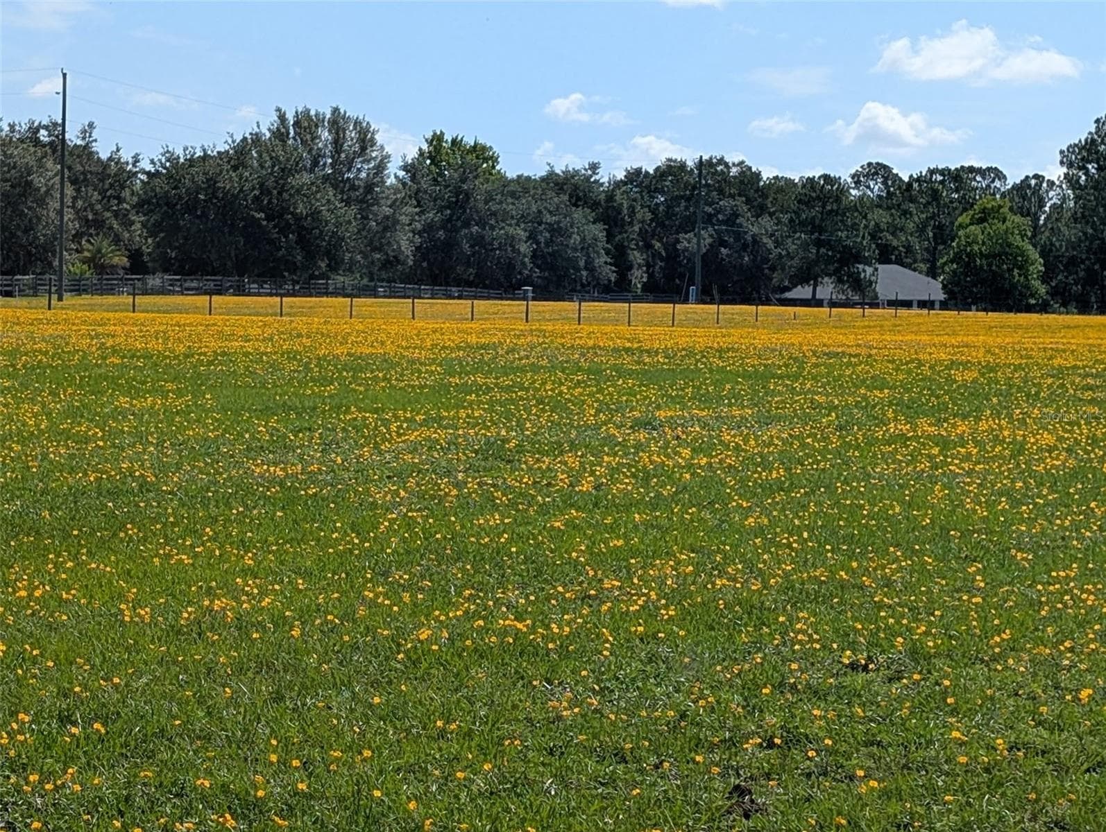 GREEN SWAMP RD