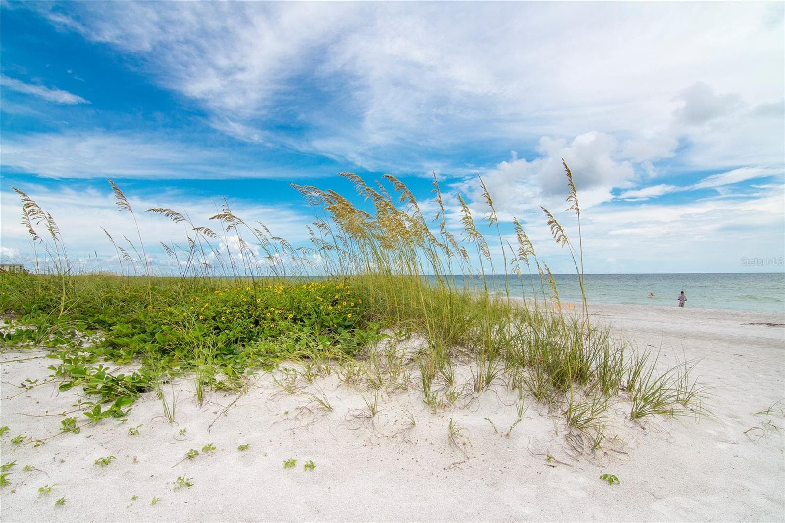 Condominium at 2450 HARBOURSIDE DR #244, LONGBOAT KEY, photo 55 of 59