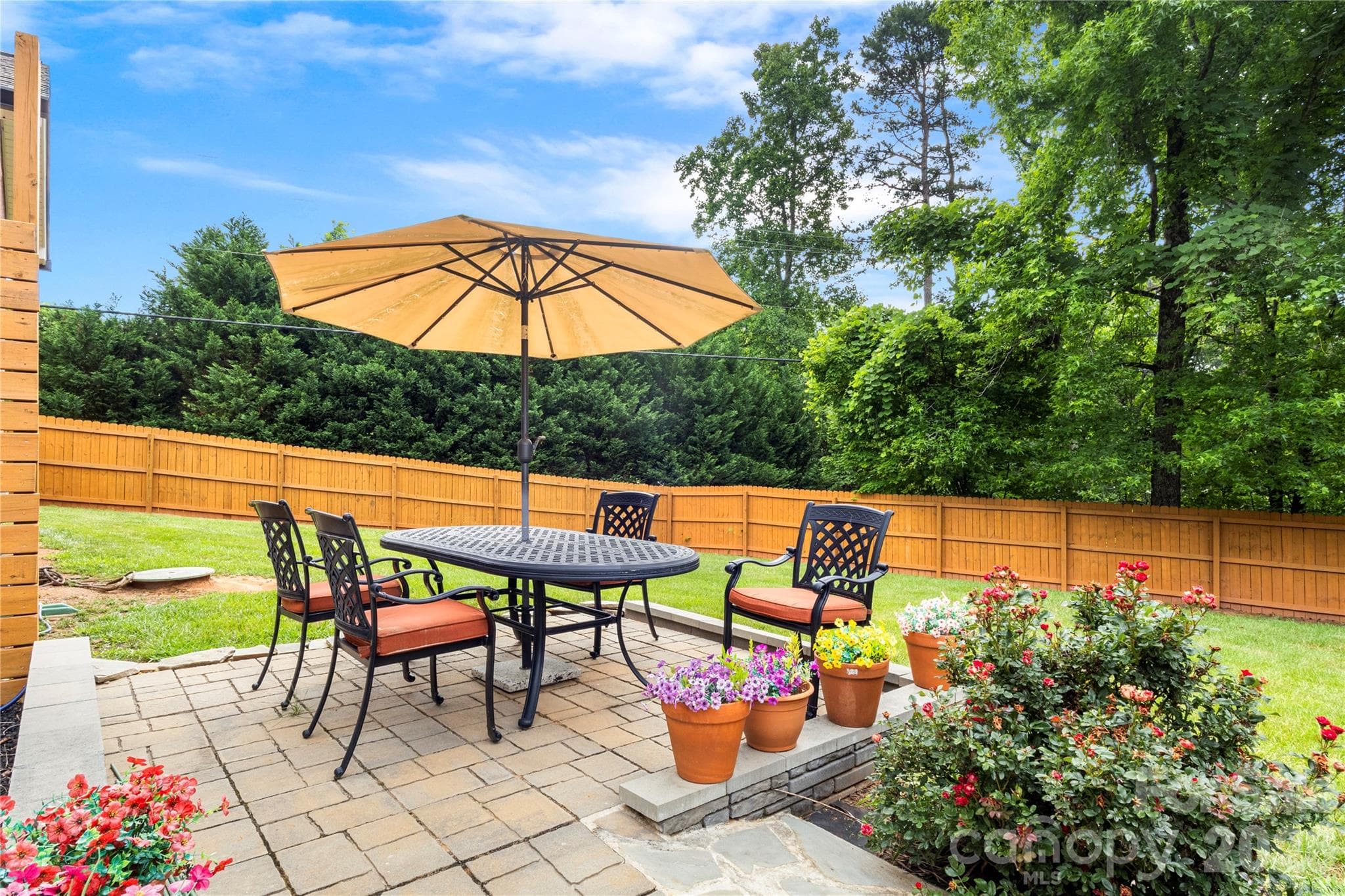 beautfiul backyard - 7760 Wallace Lane, Denver