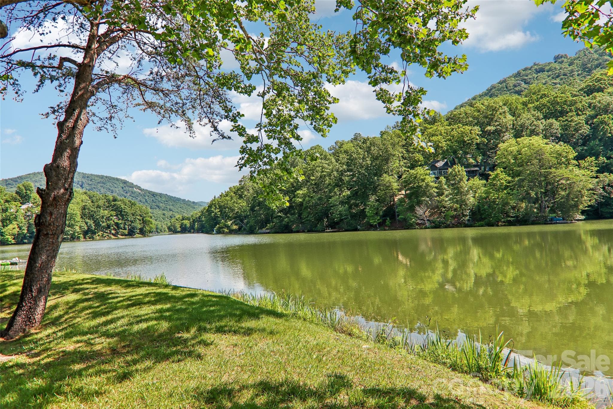 Bald mountain lake - 147 W Lake Drive S, Lake Lure