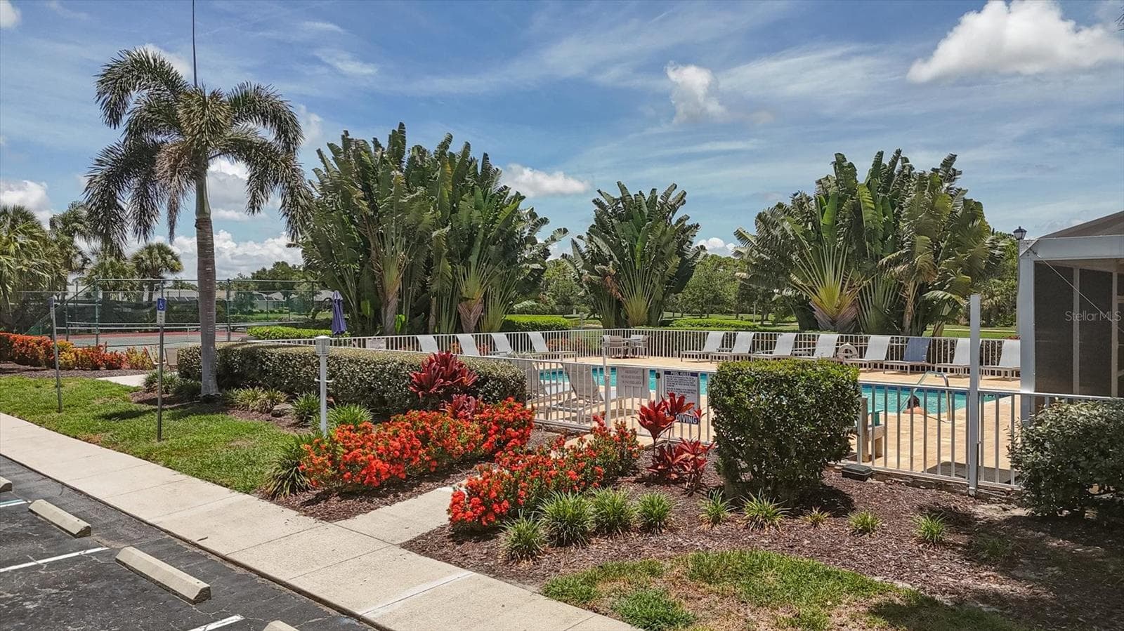 Pool - 9320 CLUBSIDE CIR #2209, SARASOTA