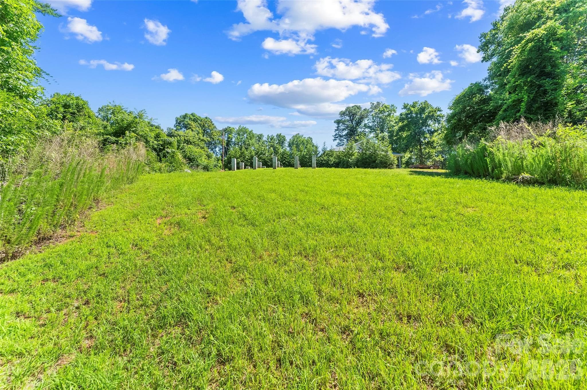 Lot at Nebo, photo 2 of 20