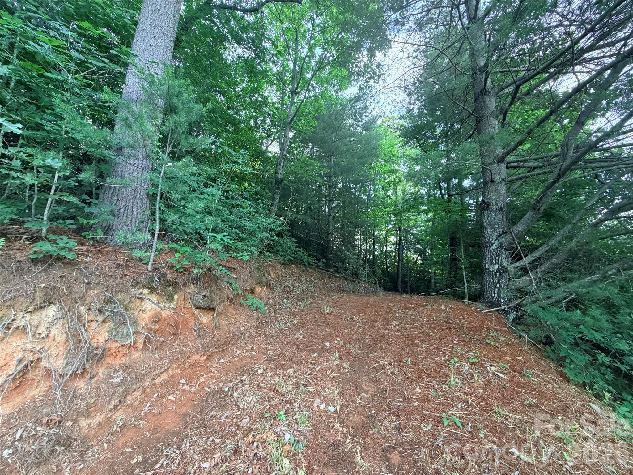 Lot at Hendersonville, photo 3 of 8