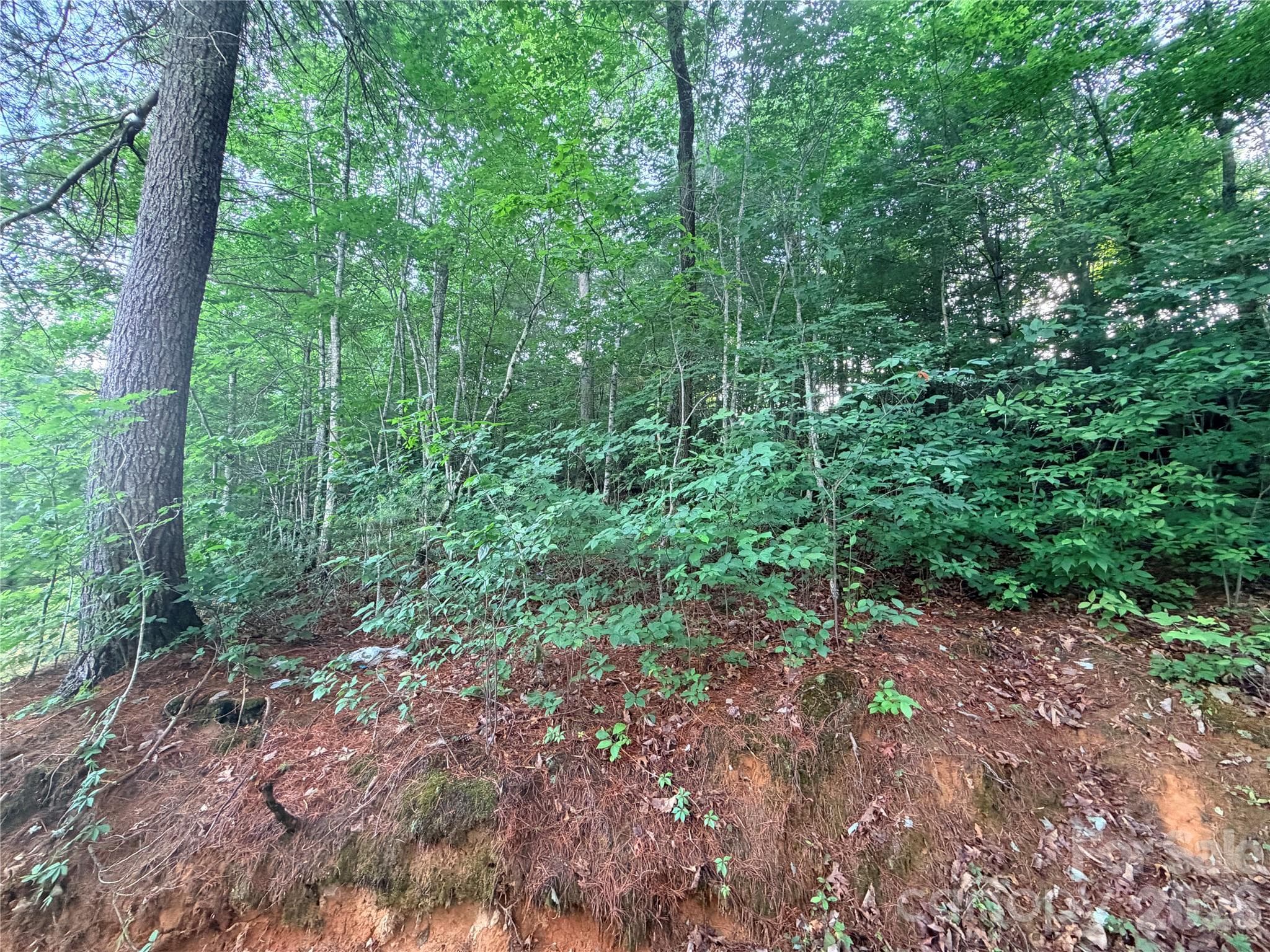 Lot at Hendersonville, photo 4 of 8
