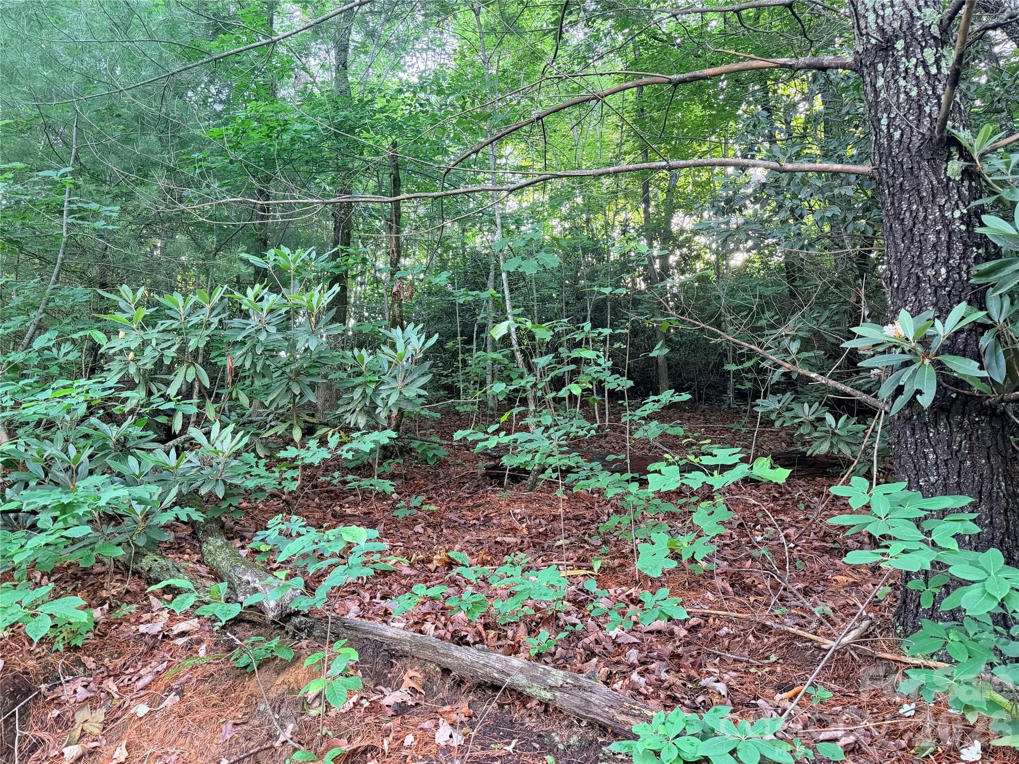 Lot at Hendersonville, photo 5 of 8
