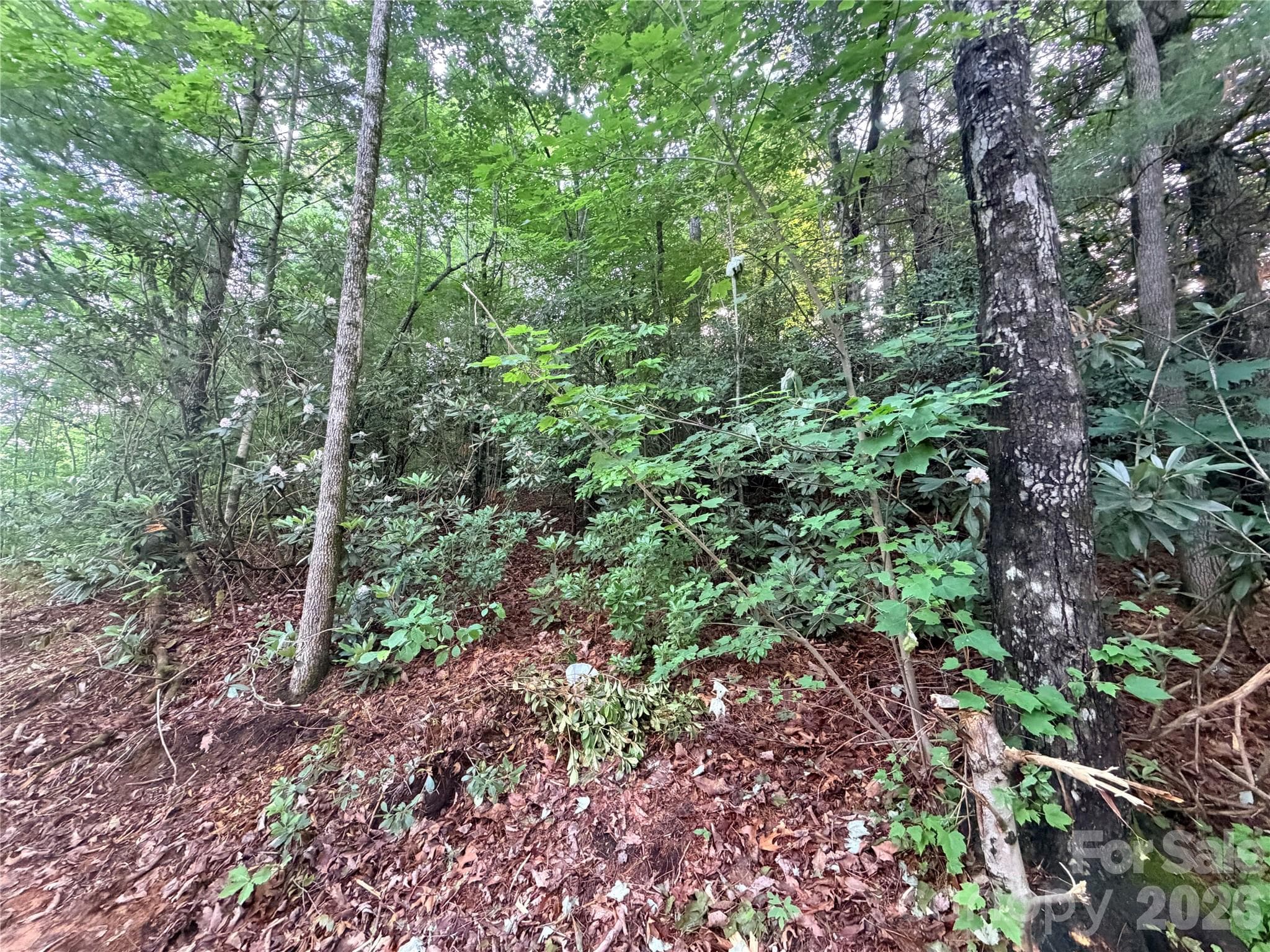 Lot at Hendersonville, photo 6 of 8