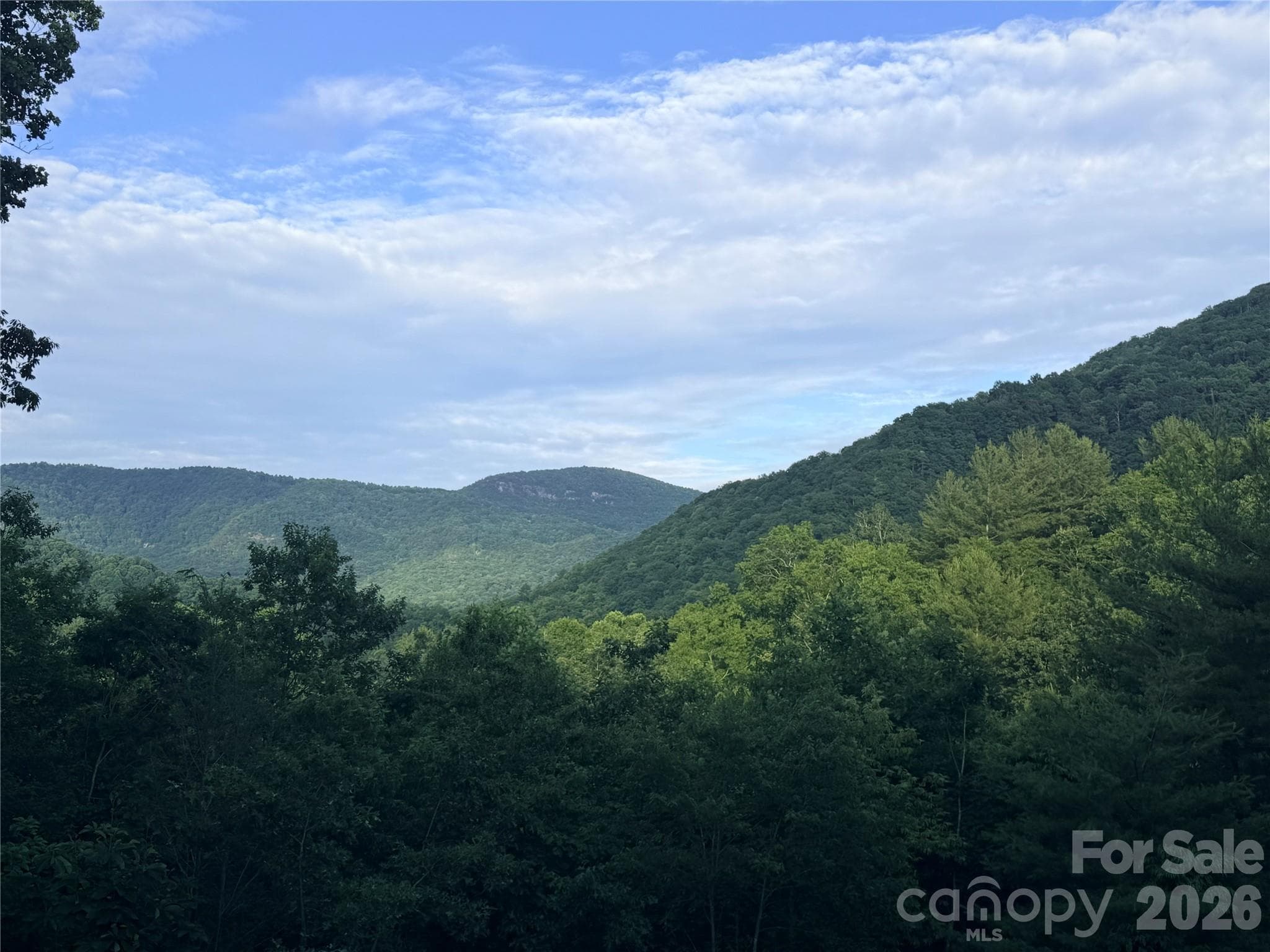 Lot at Hendersonville, photo 7 of 8
