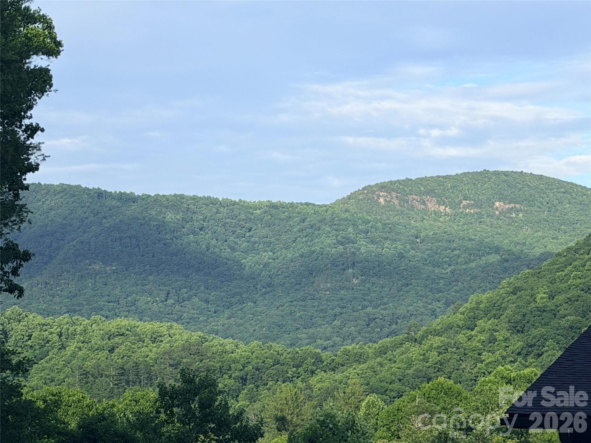 Lot at Hendersonville, photo 8 of 8