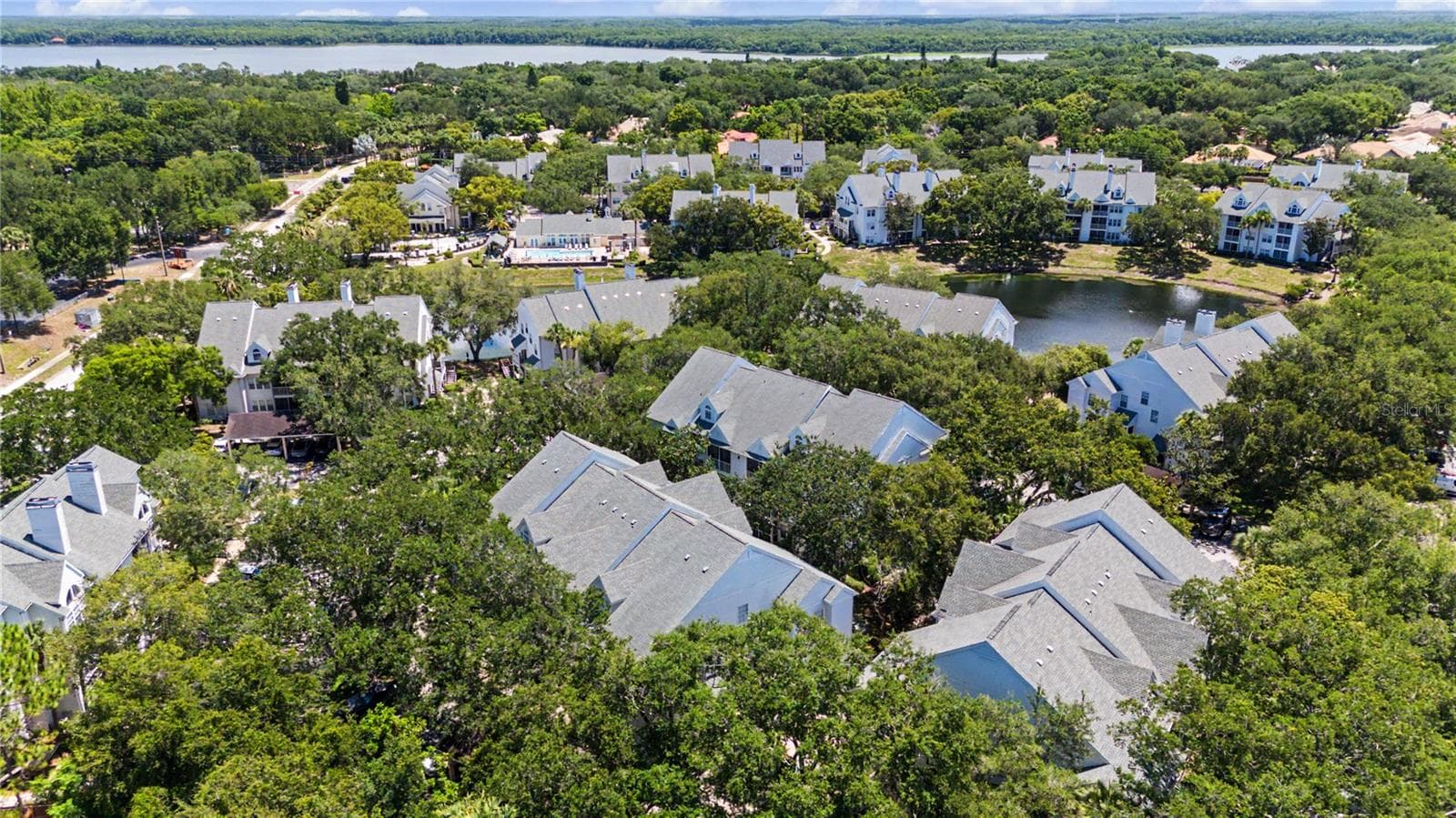Condominium at 3266 HAVILAND CT #303, PALM HARBOR, photo 39 of 62