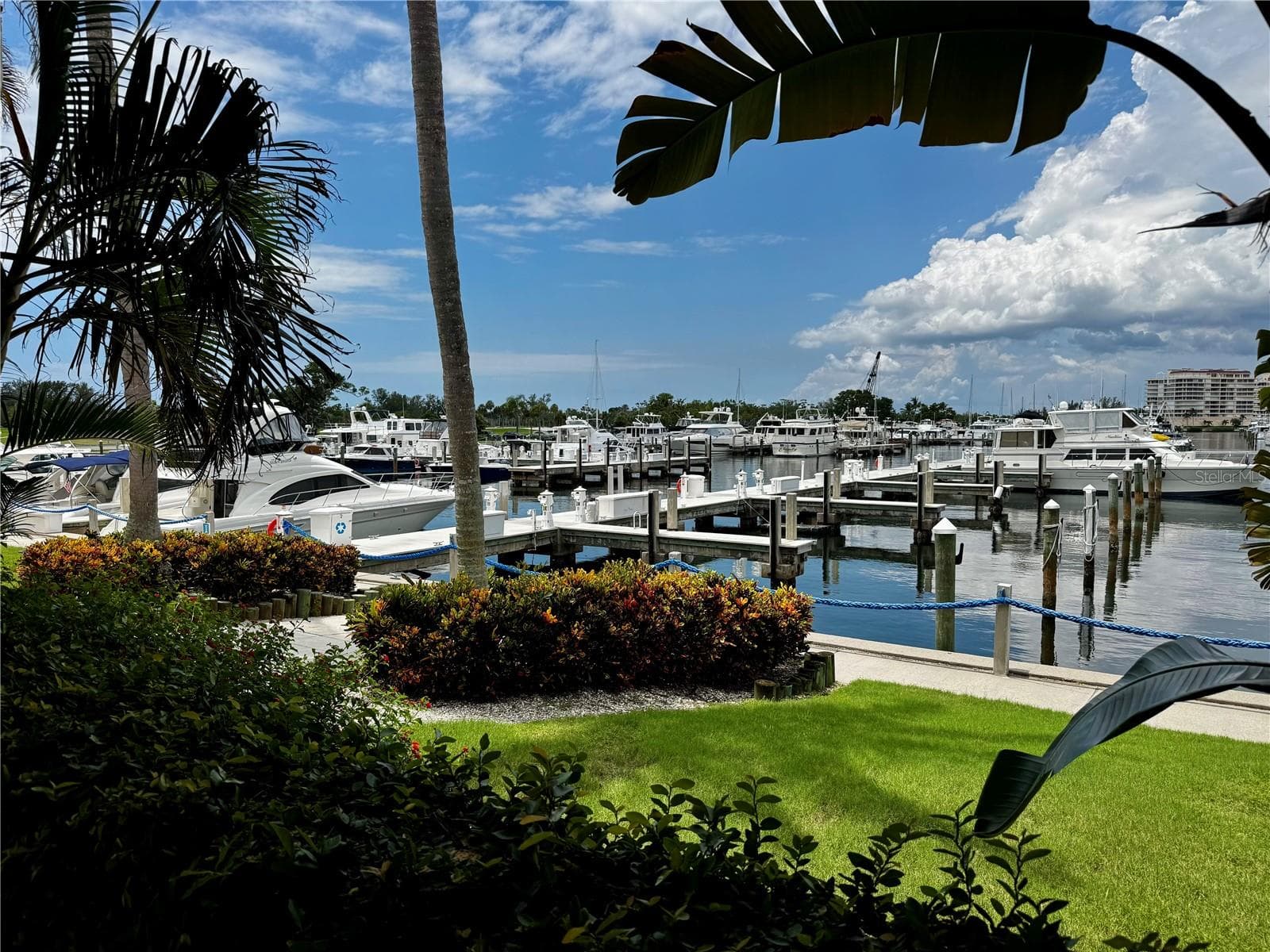 Dock-Rackominium at 2600 HARBOURSIDE DR #C11, LONGBOAT KEY, photo 2 of 6
