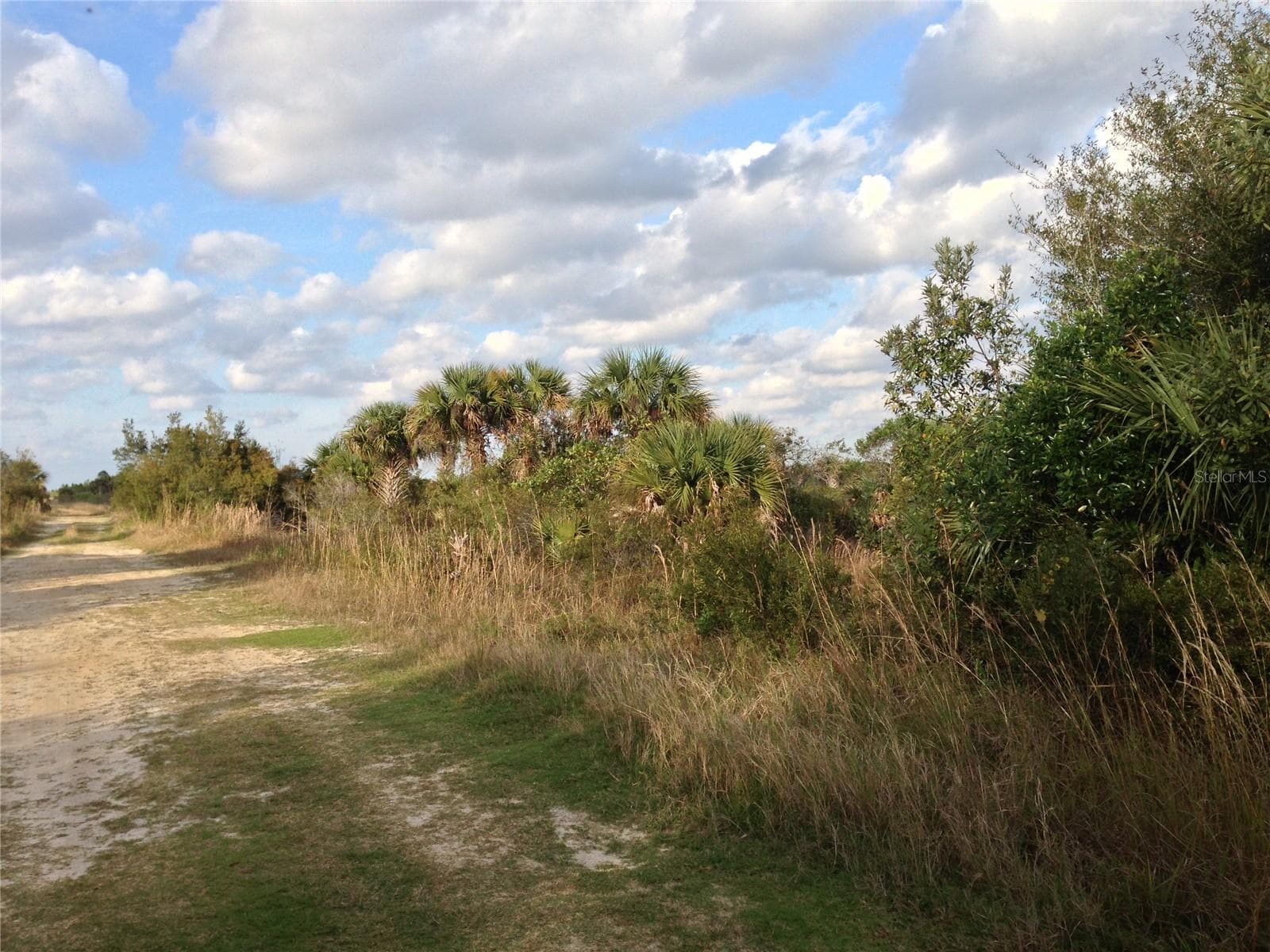 View to the north of the property. - 50670 BERMONT RD, PUNTA GORDA