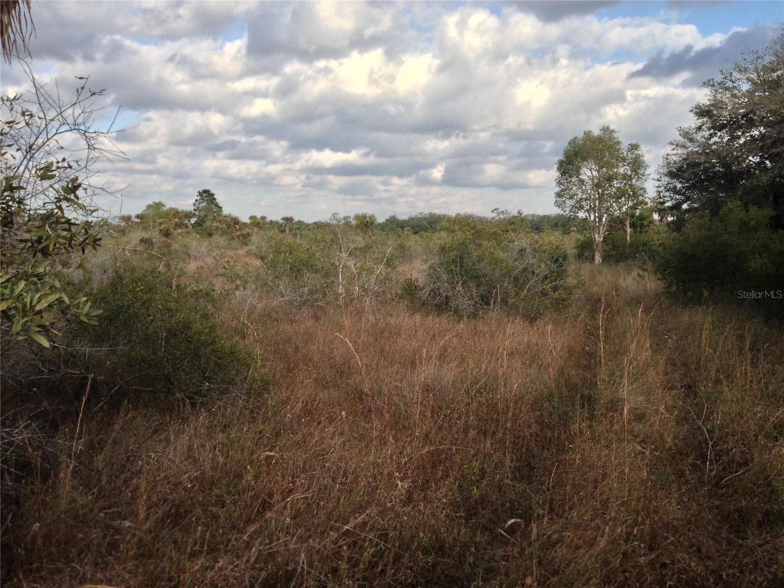 View of prairied area. - 50670 BERMONT RD, PUNTA GORDA