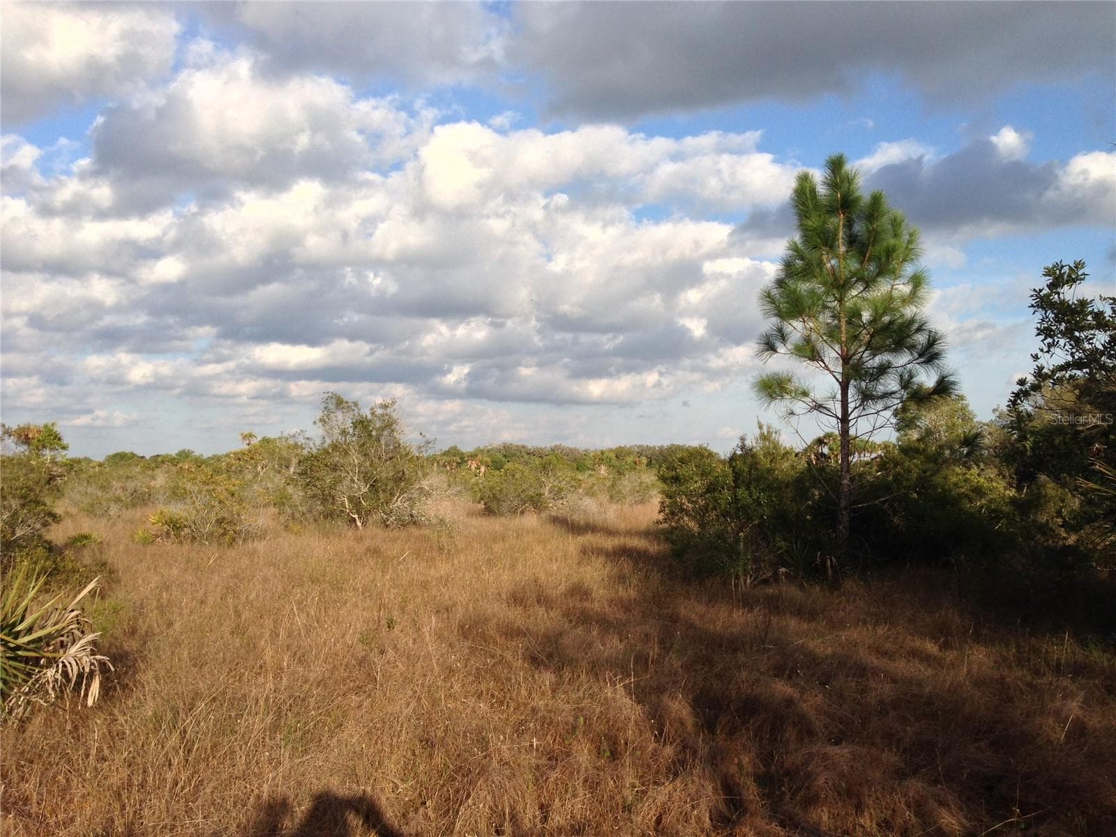 Interior photo. - 50670 BERMONT RD, PUNTA GORDA
