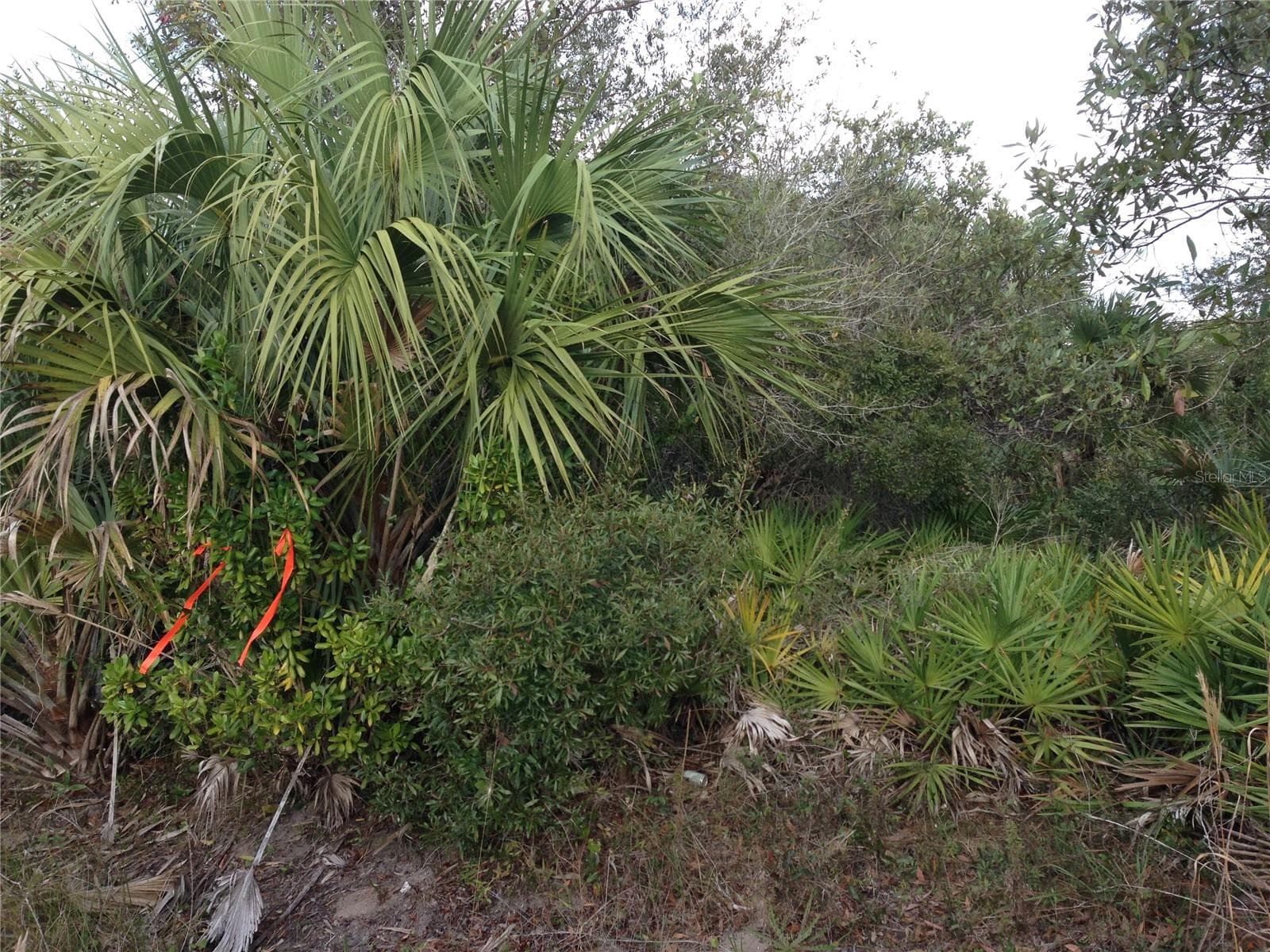 South west approximate corner location. - 50670 BERMONT RD, PUNTA GORDA
