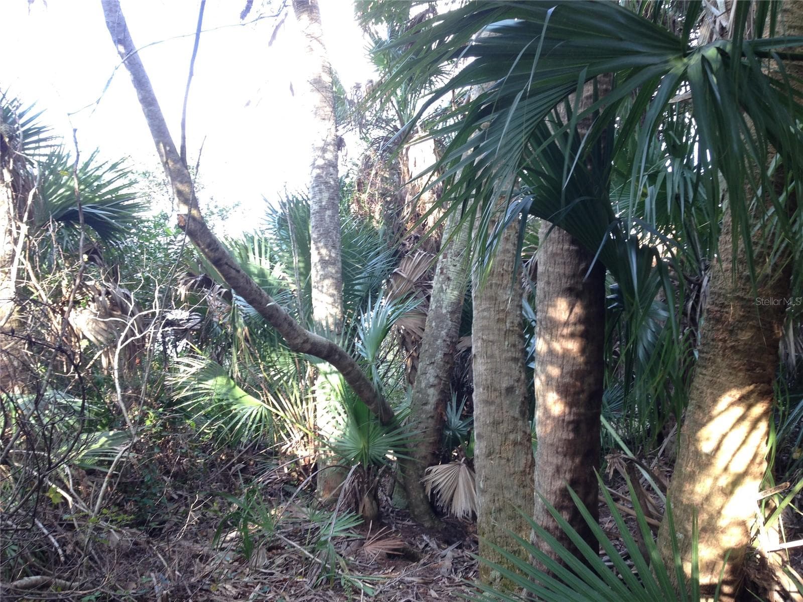 Land at 50670 BERMONT RD, PUNTA GORDA, photo 18 of 18