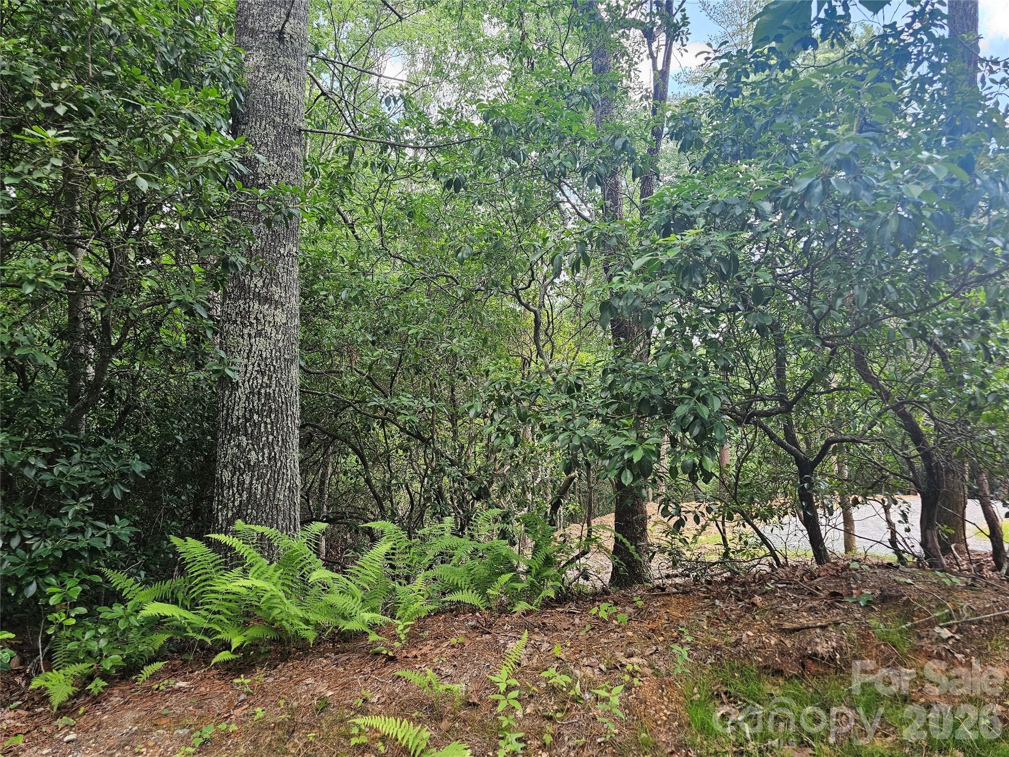 Single Family Residence at 171 Duff Cove Road, Brevard, photo 30 of 32