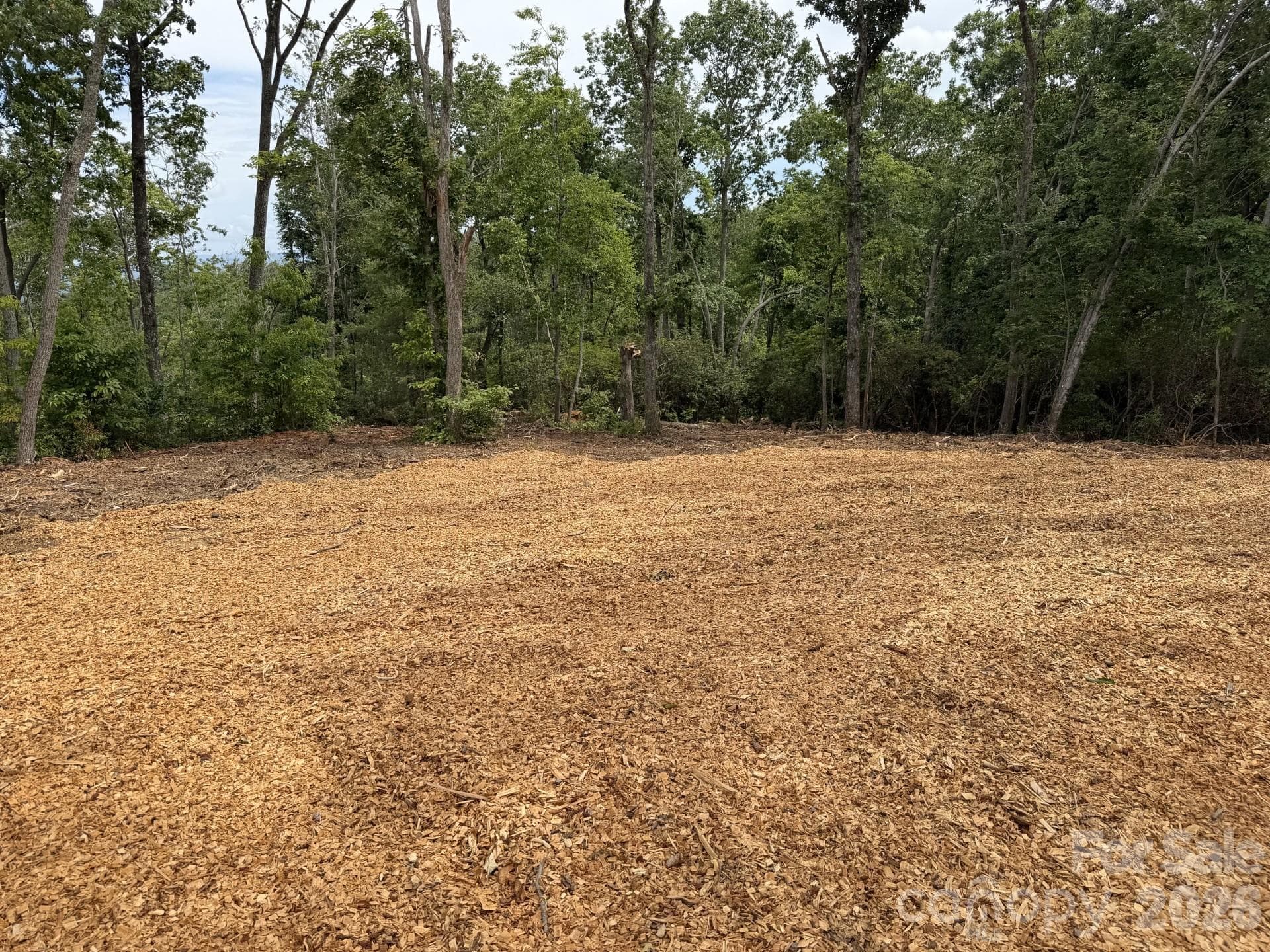 As of 06/18/26 - Fletcher