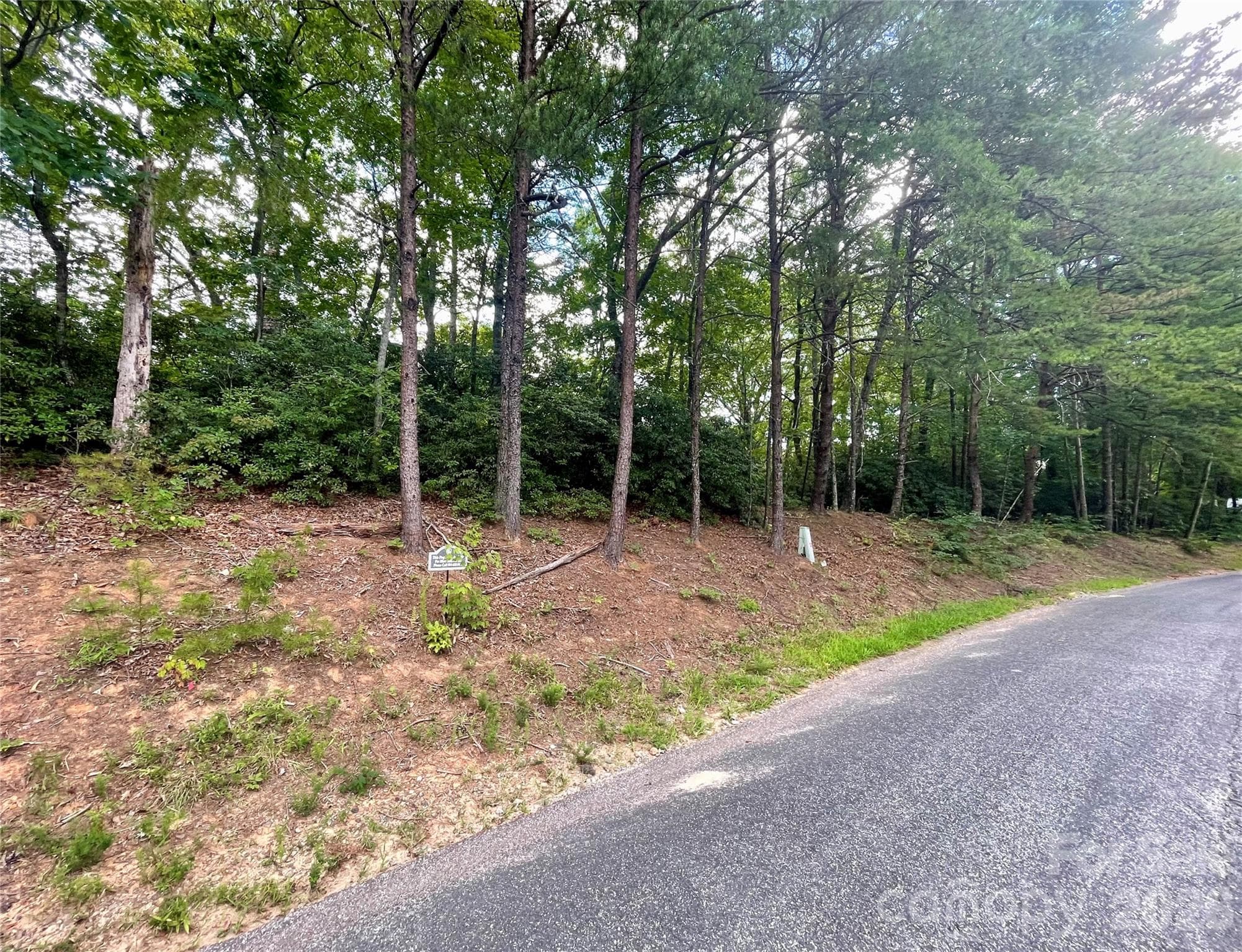 Flat lot great frontage - Lake Lure