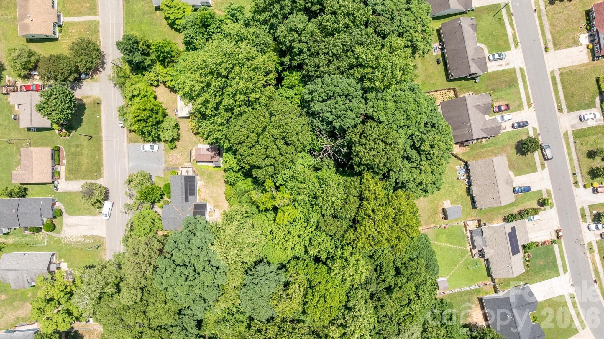 Trees until house is .47 acres is the lot for sale - Charlotte