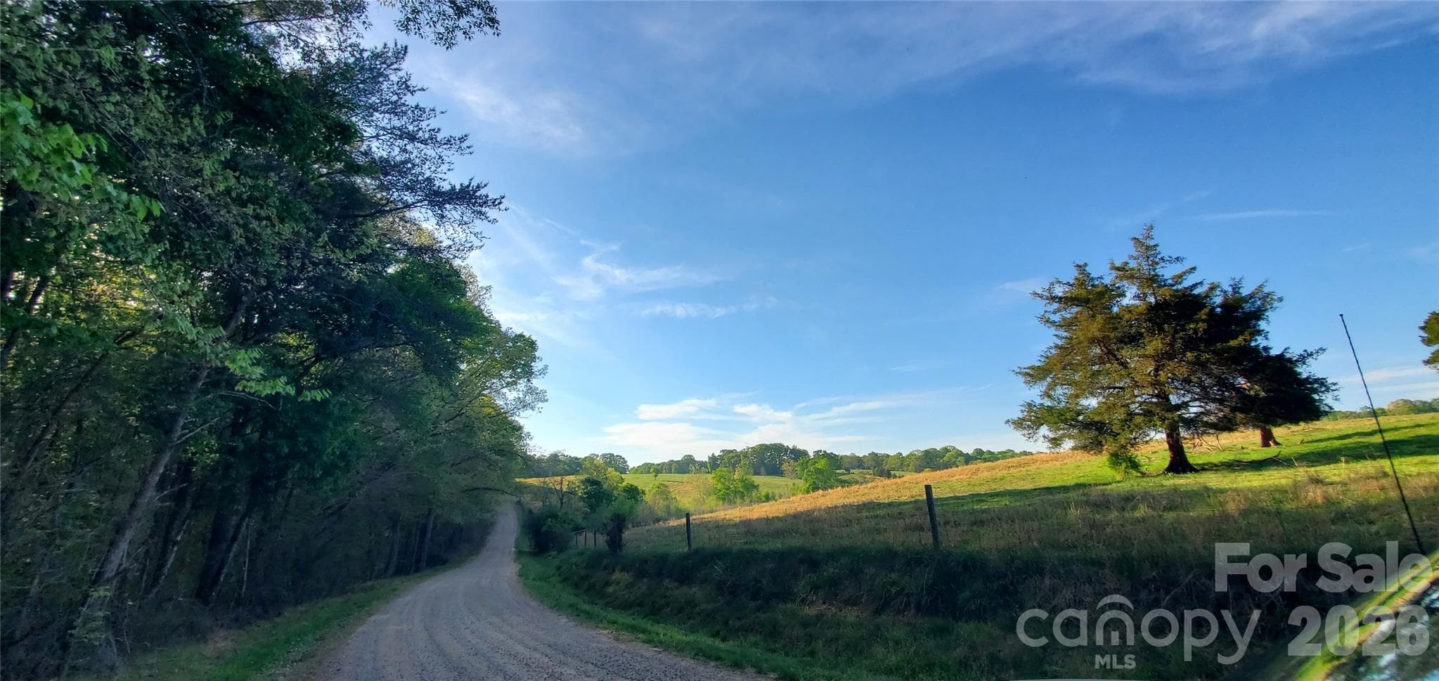 Acreage at Stony Point, photo 8 of 42