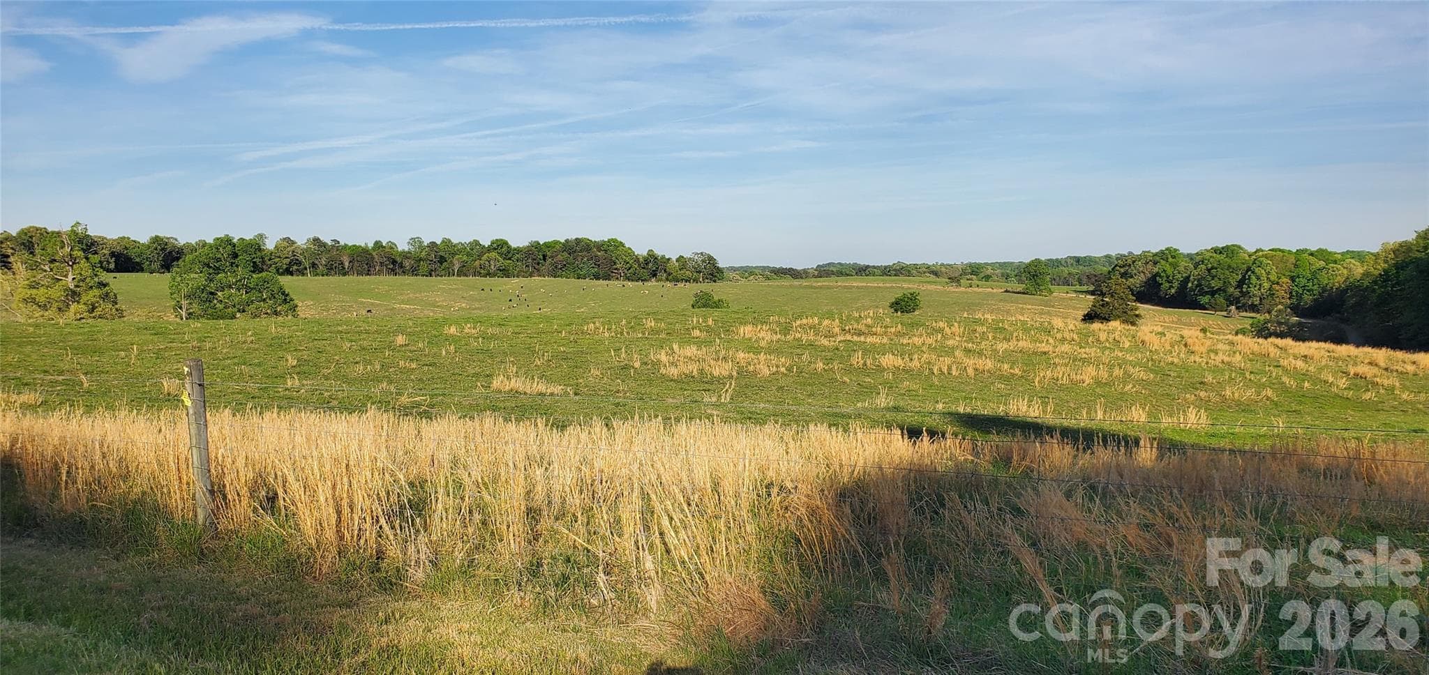 Acreage at Stony Point, photo 11 of 42