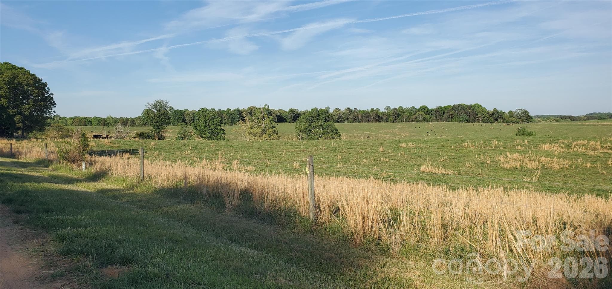 Acreage at Stony Point, photo 12 of 42