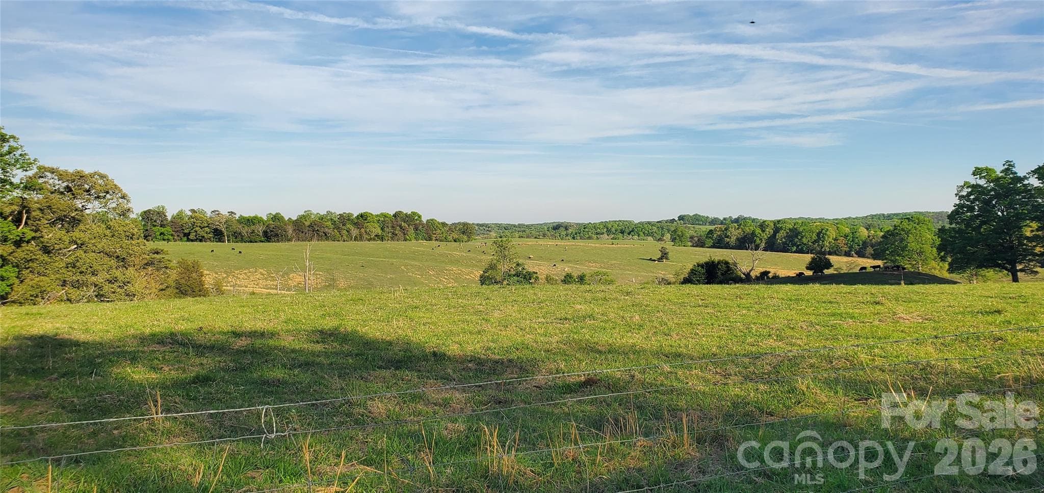 Acreage at Stony Point, photo 15 of 42