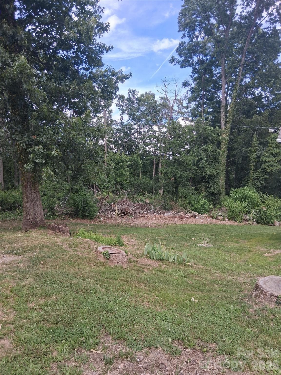 Lot at Asheville, photo 2 of 23
