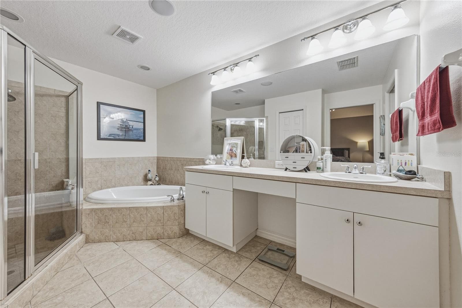 Primary bathroom - 2024 LARKSPUR CT, TRINITY