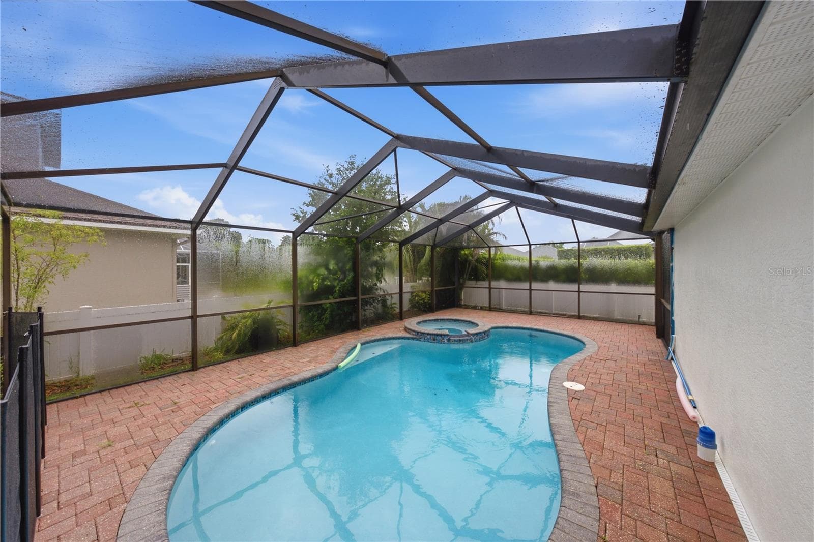 Screened and pavered freeform pool - 2024 LARKSPUR CT, TRINITY