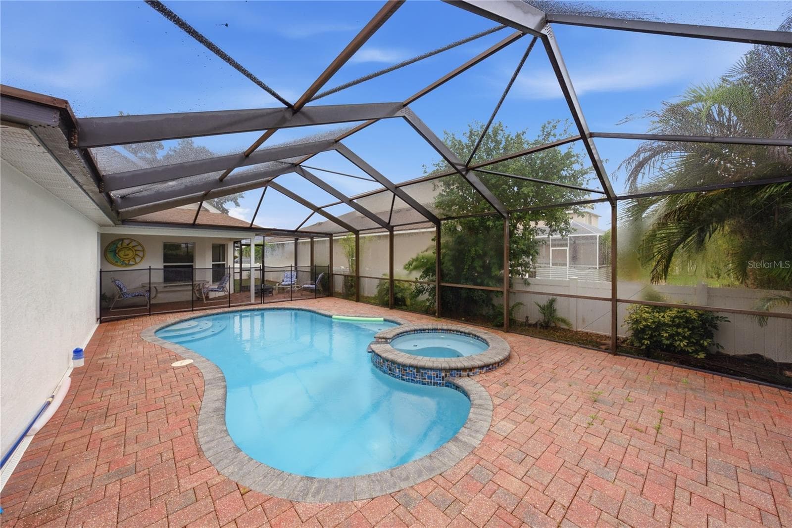 Screened and pavered freeform pool - 2024 LARKSPUR CT, TRINITY