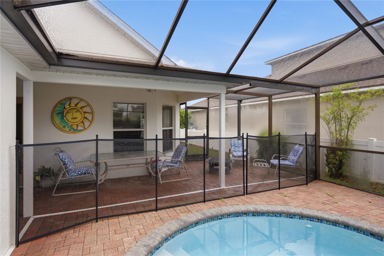 Screened and pavered freeform pool - 2024 LARKSPUR CT, TRINITY