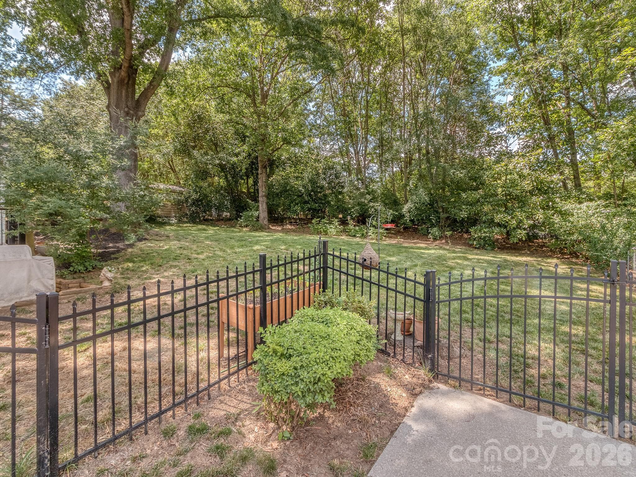 Fenced in yard - Charlotte