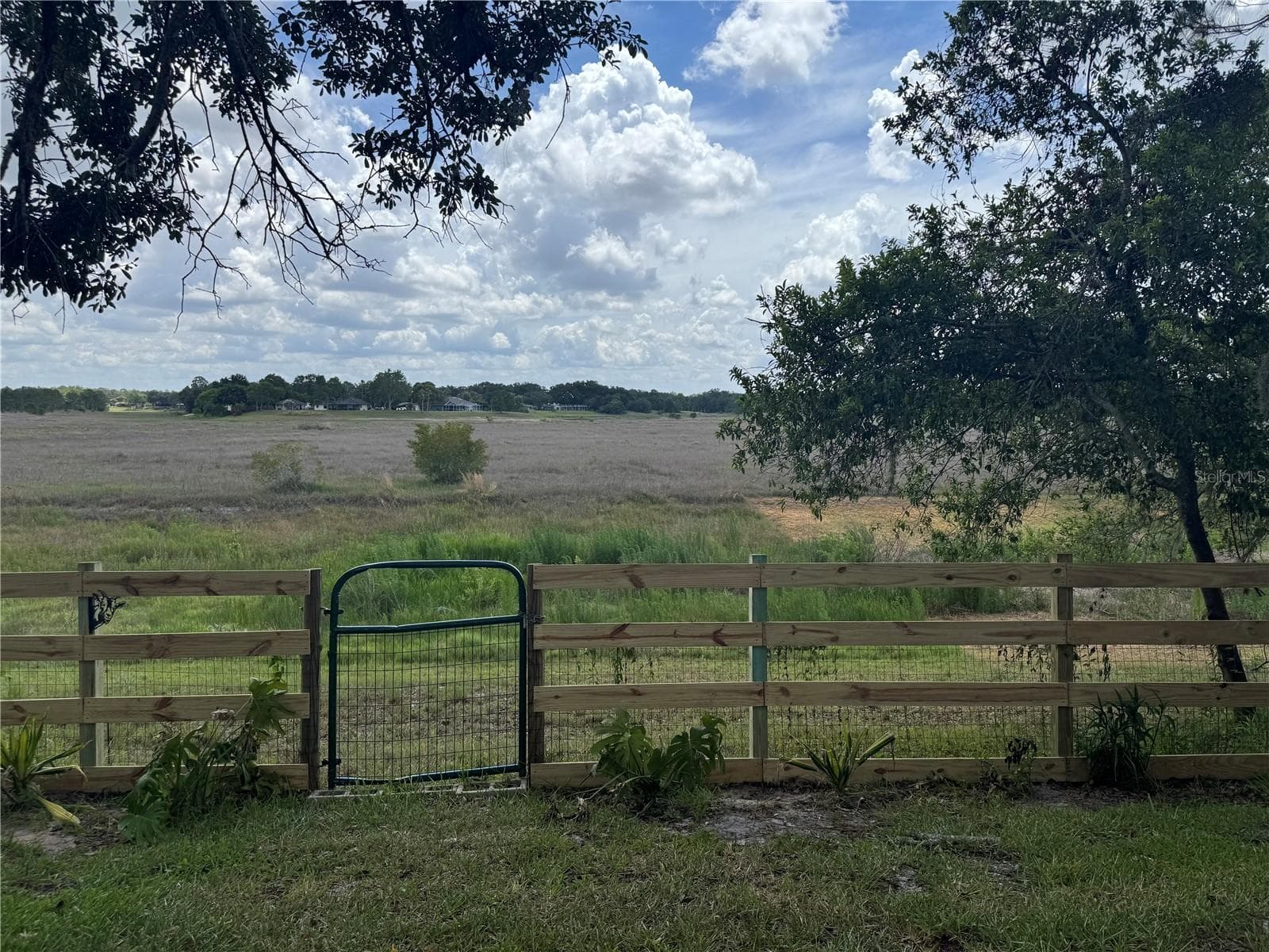 Backyard Fence - 1472 IVYDALE RD, SPRING HILL