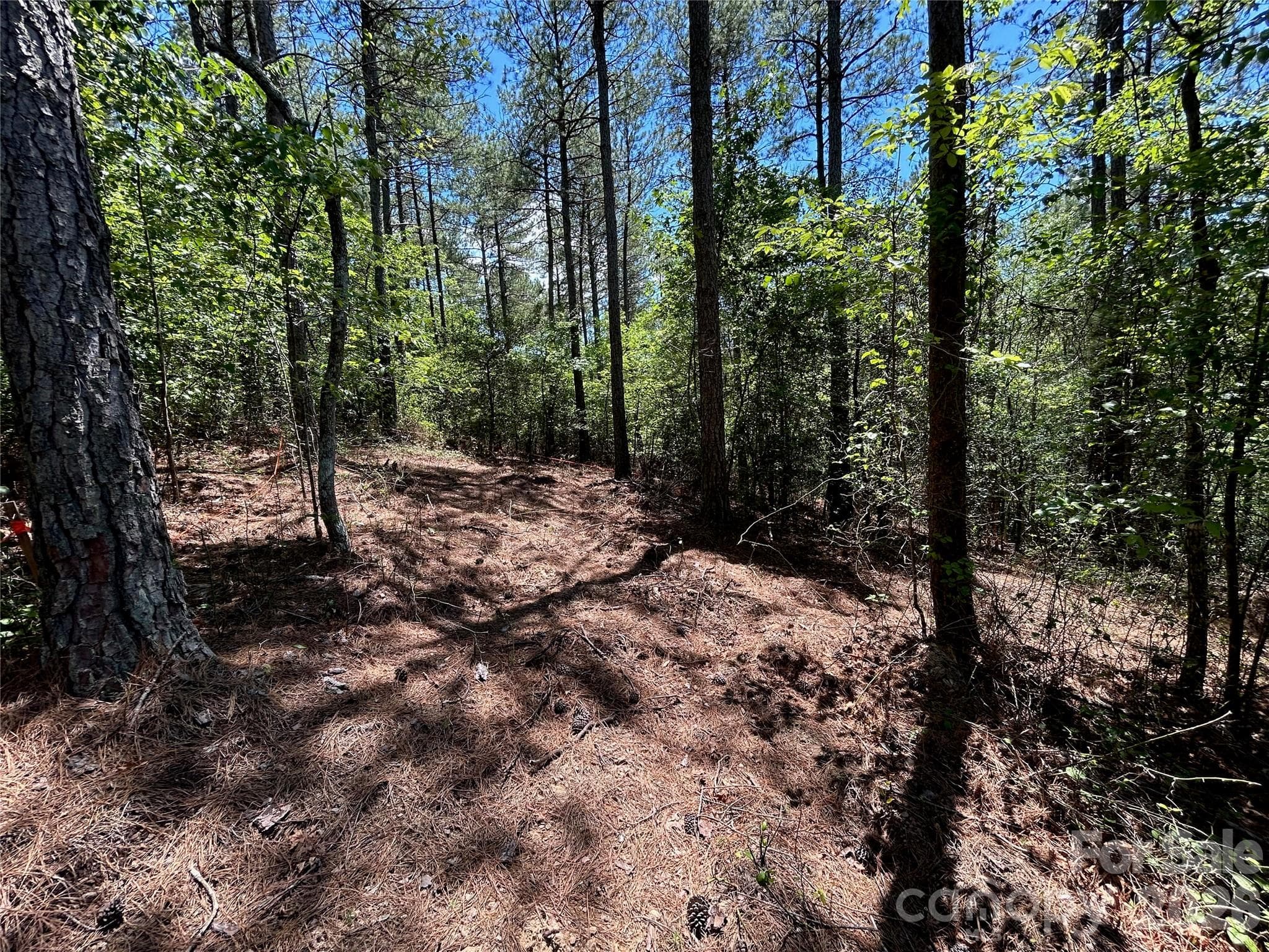 Lot at 1175 HIDDEN COVE Lane, Connelly Springs, photo 9 of 15