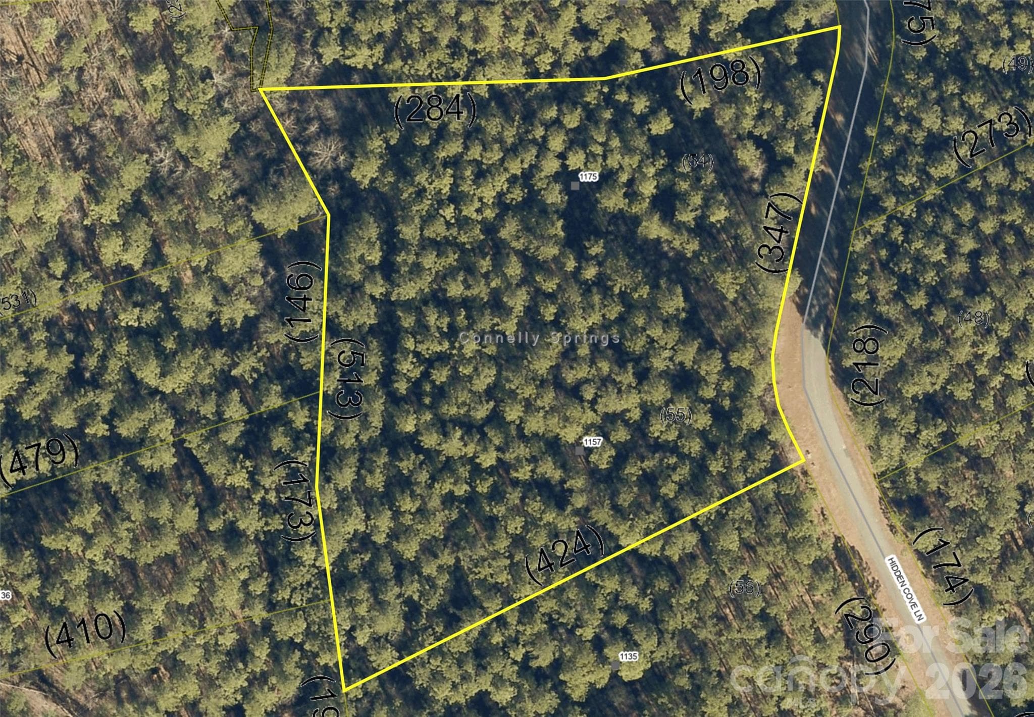 Lot at 1175 HIDDEN COVE Lane, Connelly Springs, photo 10 of 15