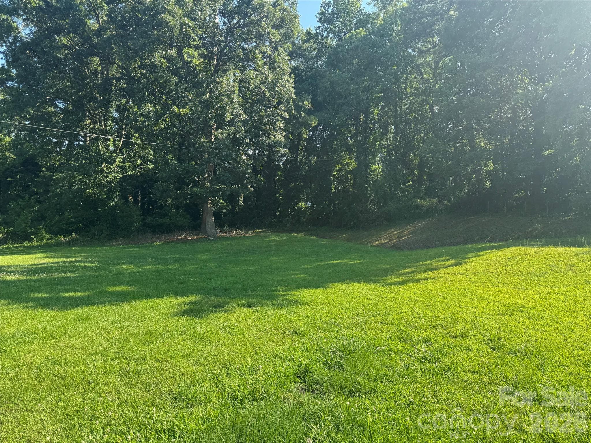 Backyard - Charlotte