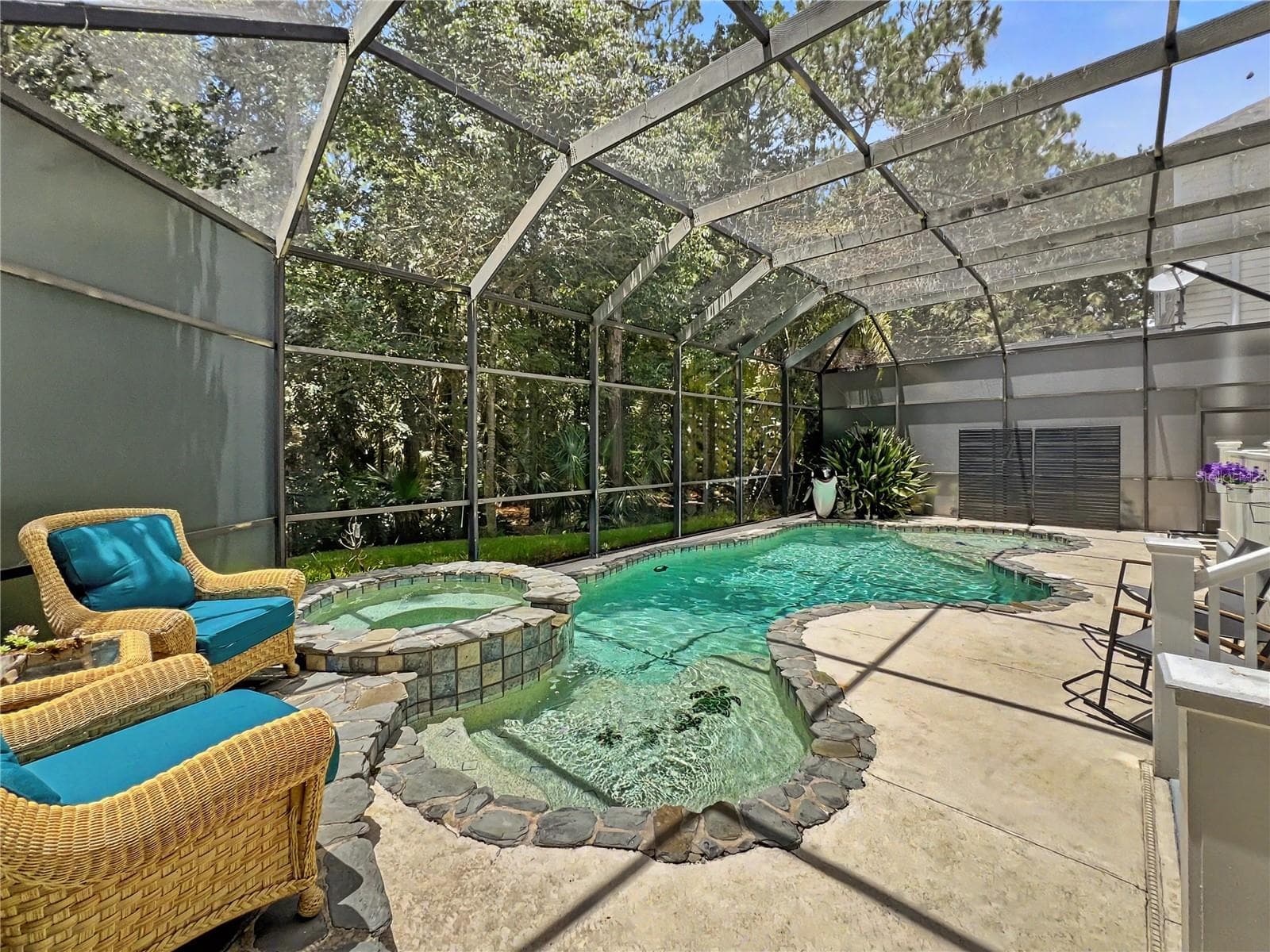 Rare opportunity to have your own private pool and spa - 816 RUNNER OAK ST, CELEBRATION