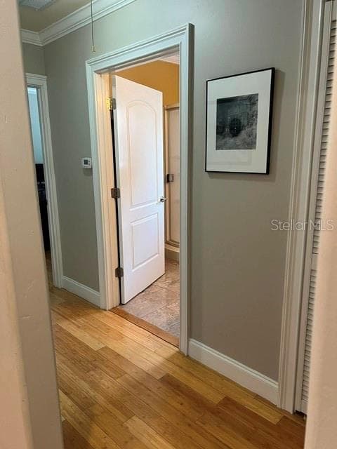 Hallway Between Offices With Bath Entry - 1202 N ARMENIA AVE, TAMPA