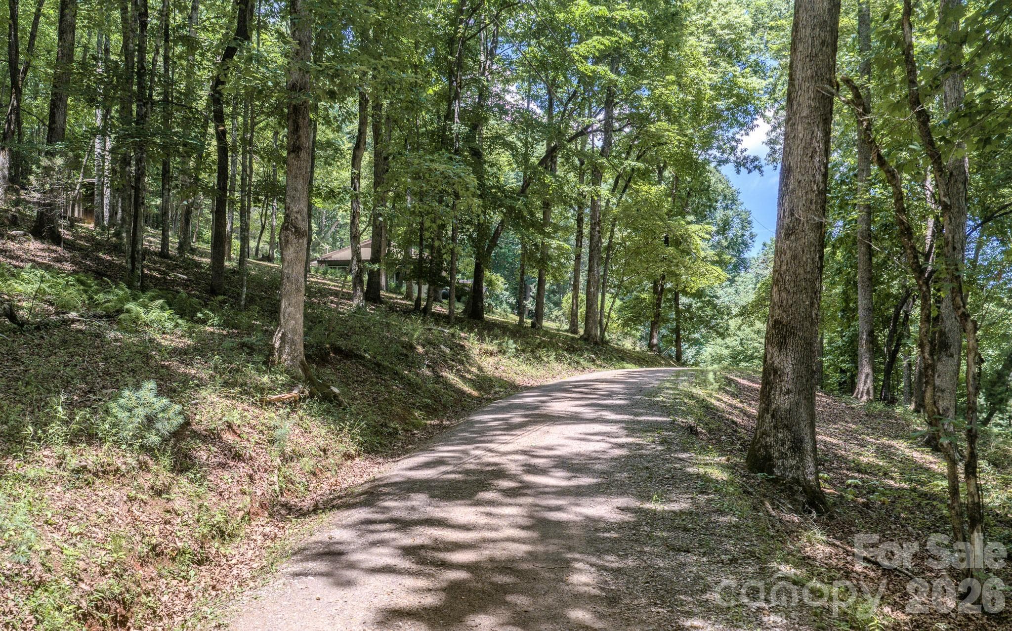 Driveway - 35 Coweeta Ridge Road, Otto