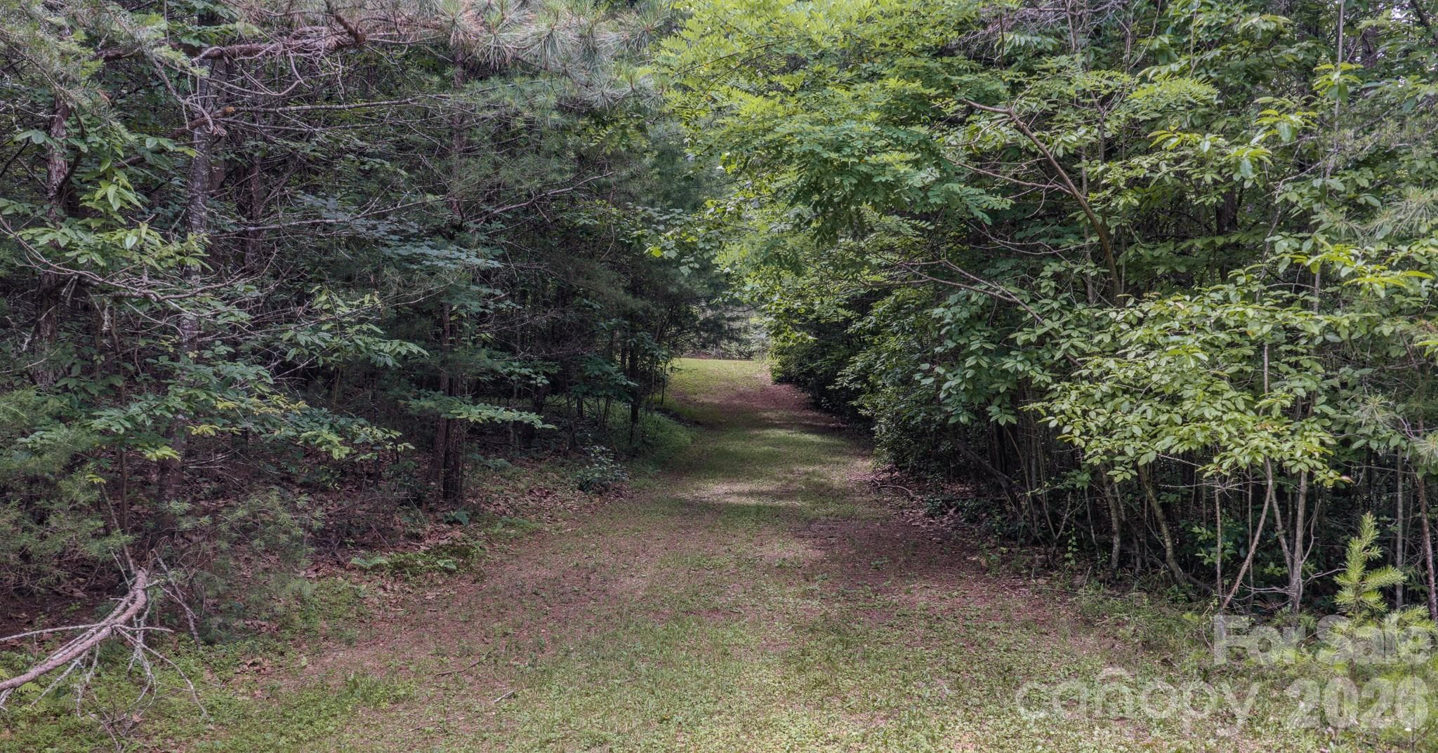 Driveway continues all the way to the top lot - 35 Coweeta Ridge Road, Otto