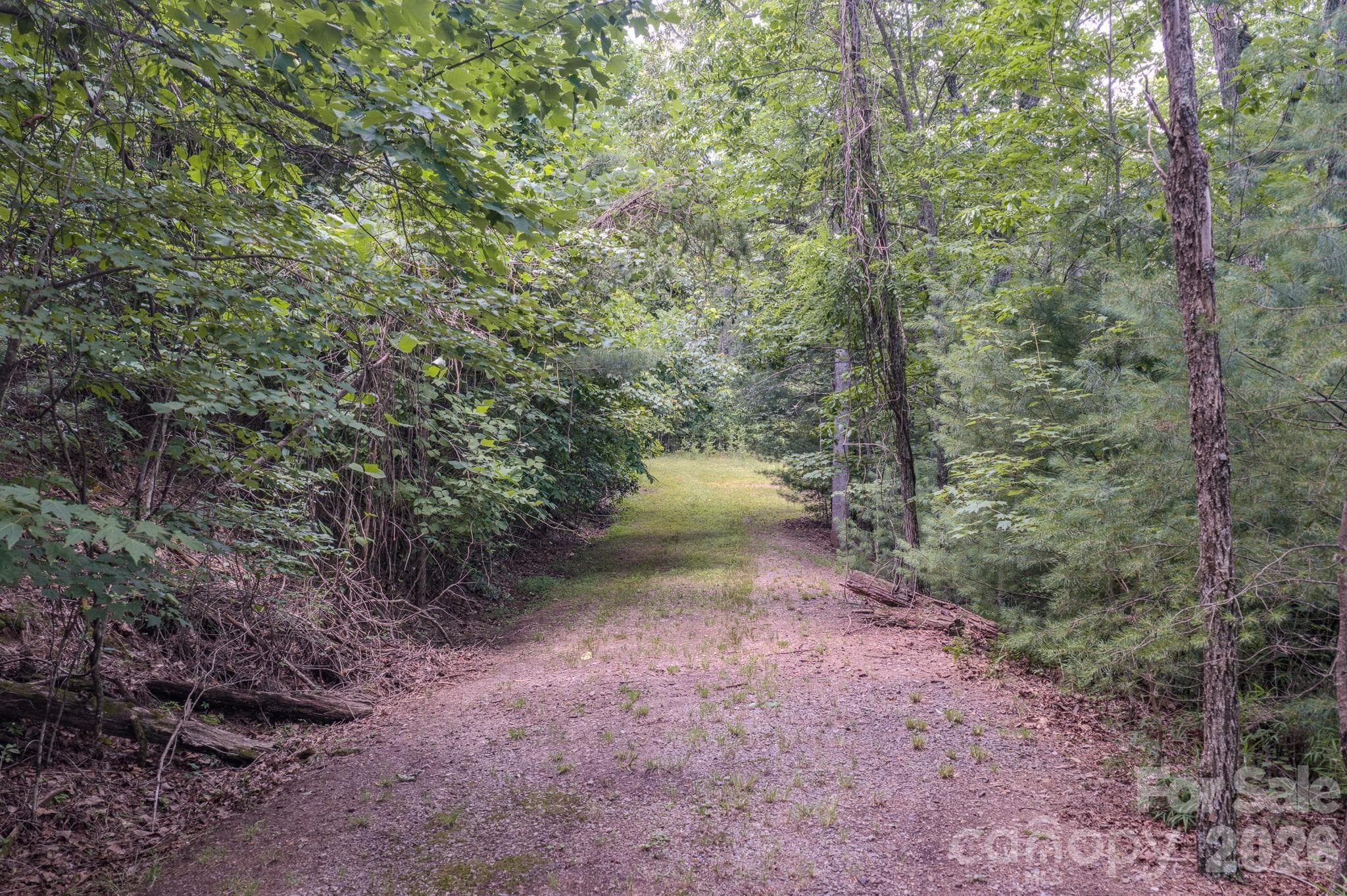 Driveway continues all the way to the top lot - 35 Coweeta Ridge Road, Otto