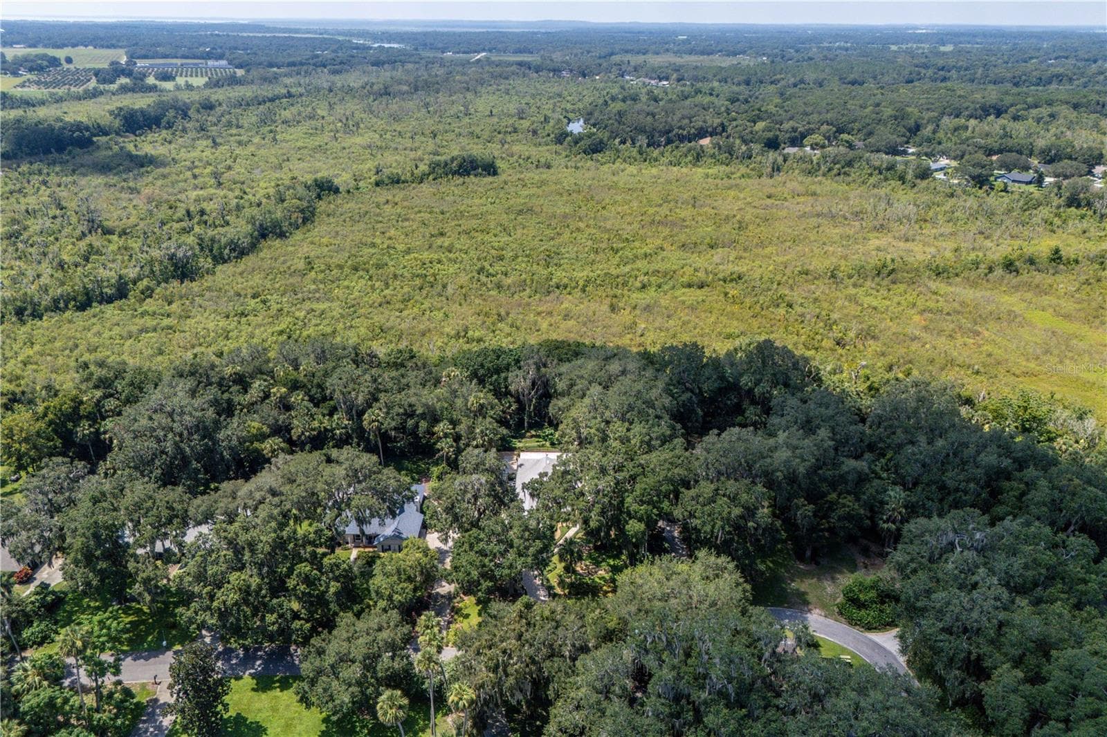 Single Family Residence at 16720 BEAUCLAIRE CT, TAVARES, photo 41 of 46