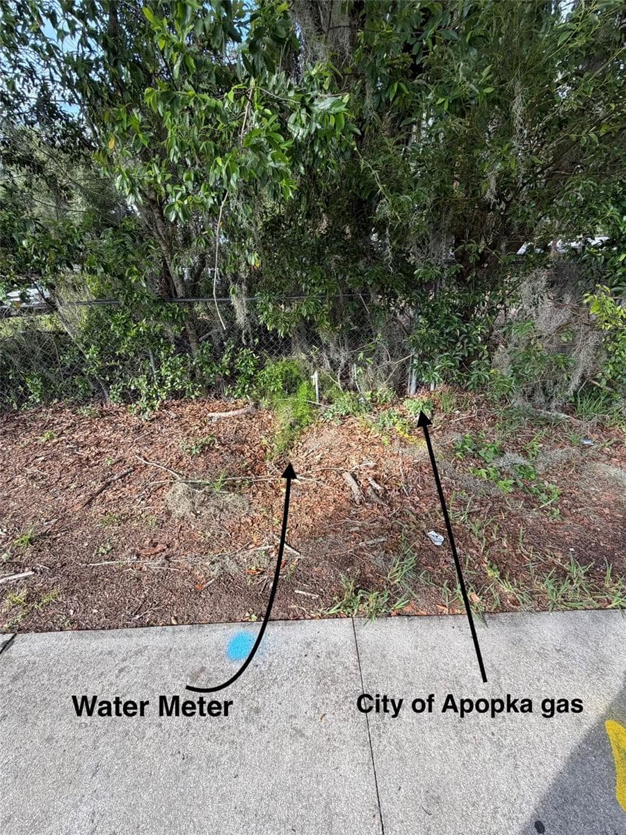 Land at 1185 APOPKA BLVD, APOPKA, photo 6 of 9